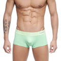 Light green form-fitting MetroMaleWear Pastel Trunk briefs with matching elastic waistband featuring annuy branding