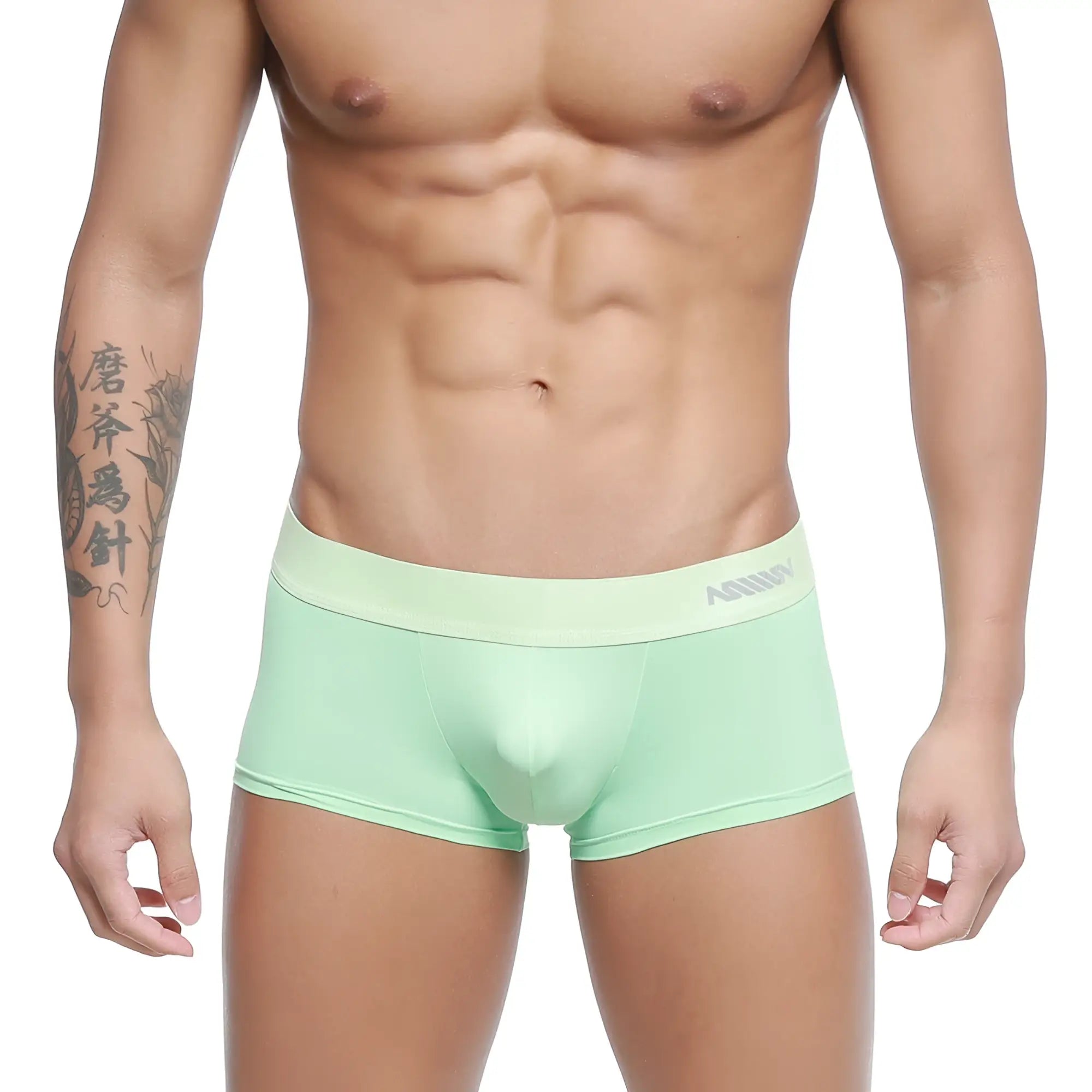 Light green form-fitting MetroMaleWear Pastel Trunk briefs with matching elastic waistband featuring annuy branding
