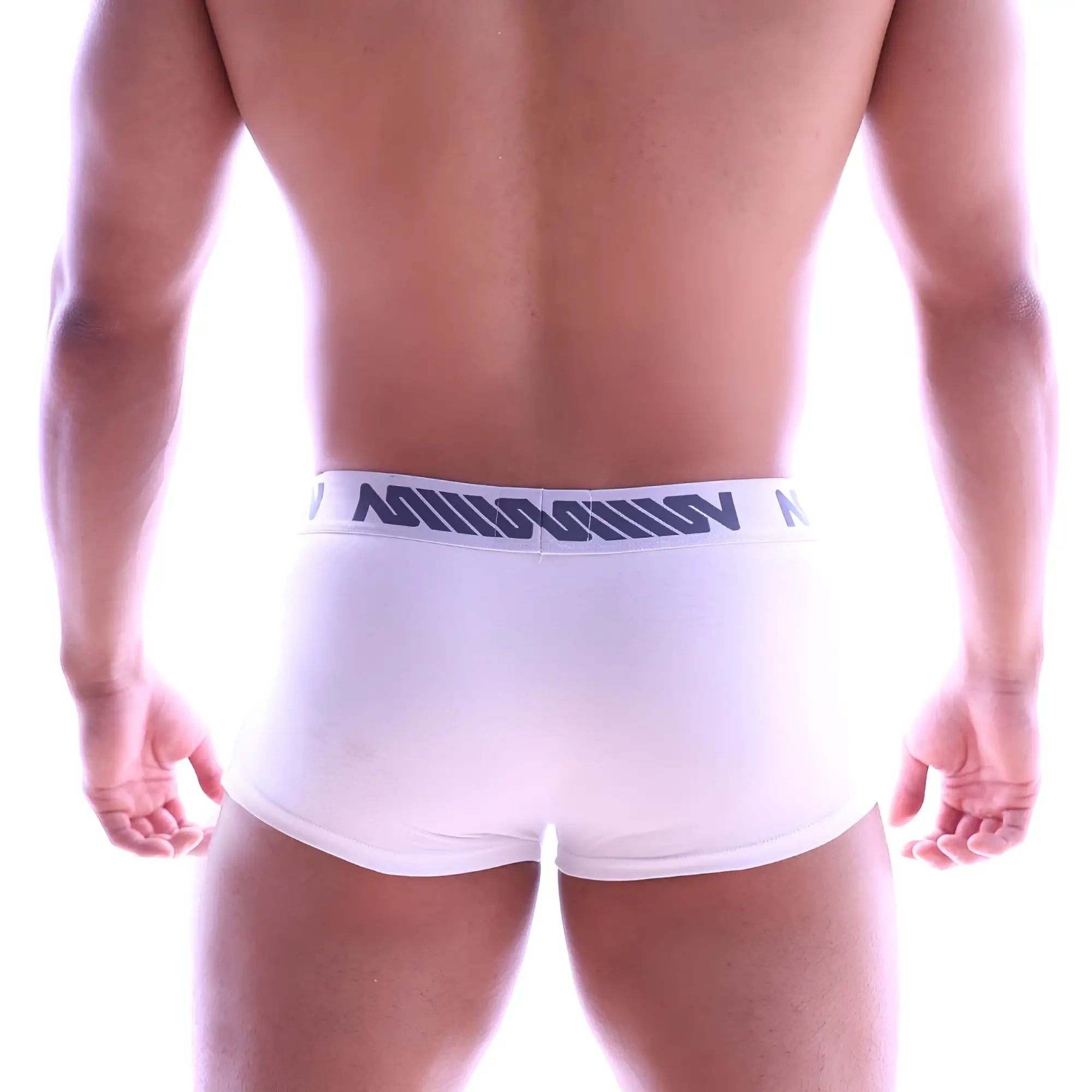 White mens briefs with a navy blue logo band metroMalewear perfect scene hip trunk 1013-02 front view
