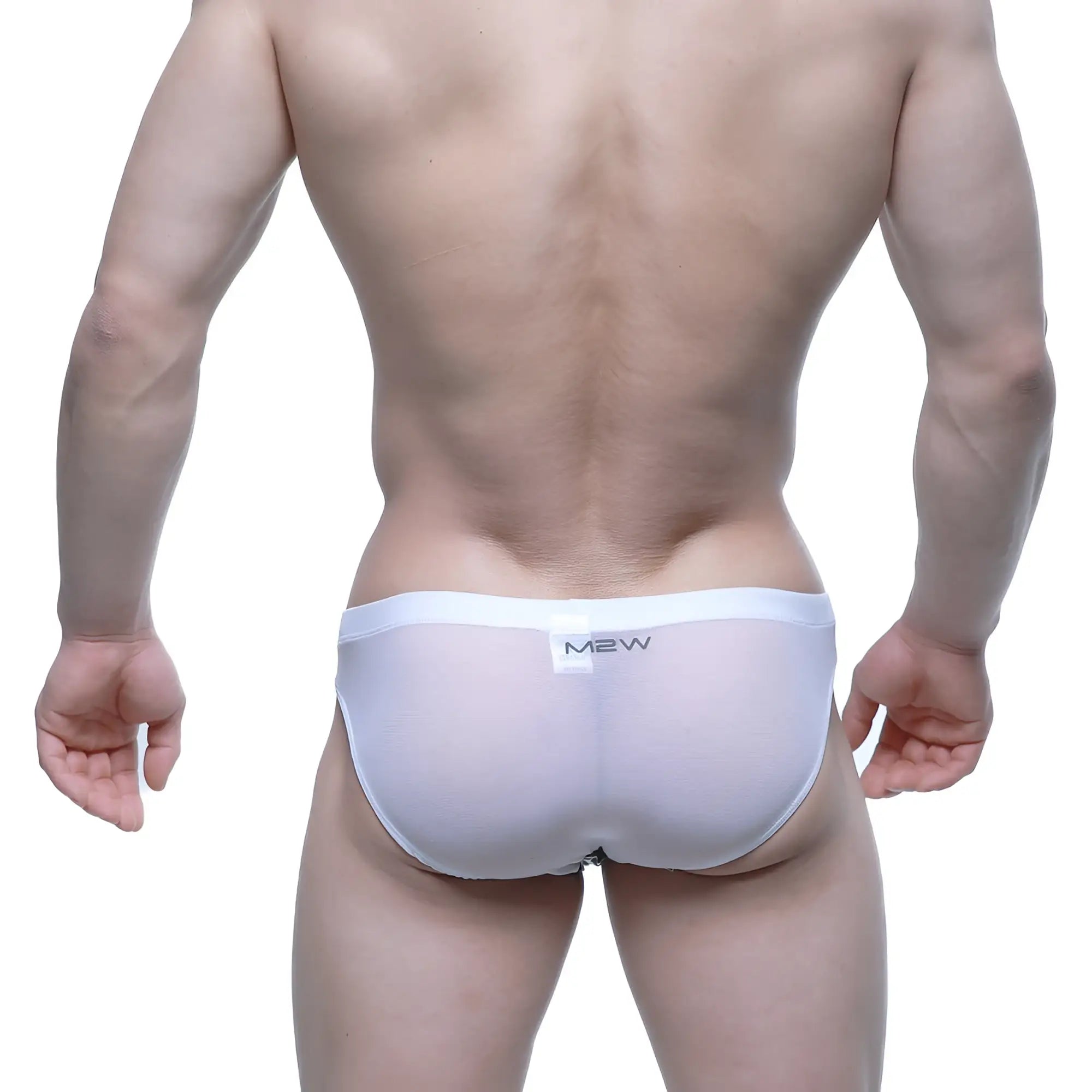 White sheer mesh briefs with black m2w logo on waistband from MetroMaleWear Perro Bikini 5103-M56 product line