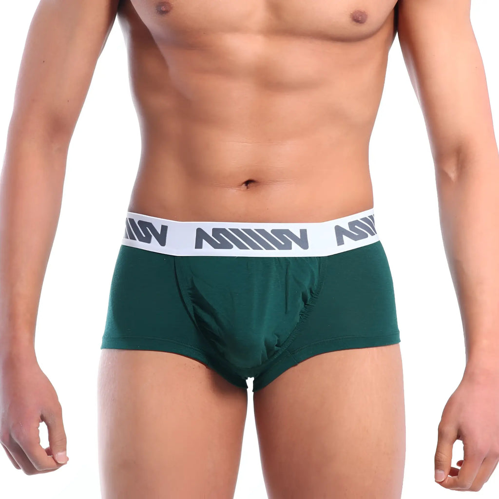 Dark green mens boxer briefs with white elastic waistband and gray n logo pattern metro male wear pocket short pine green
