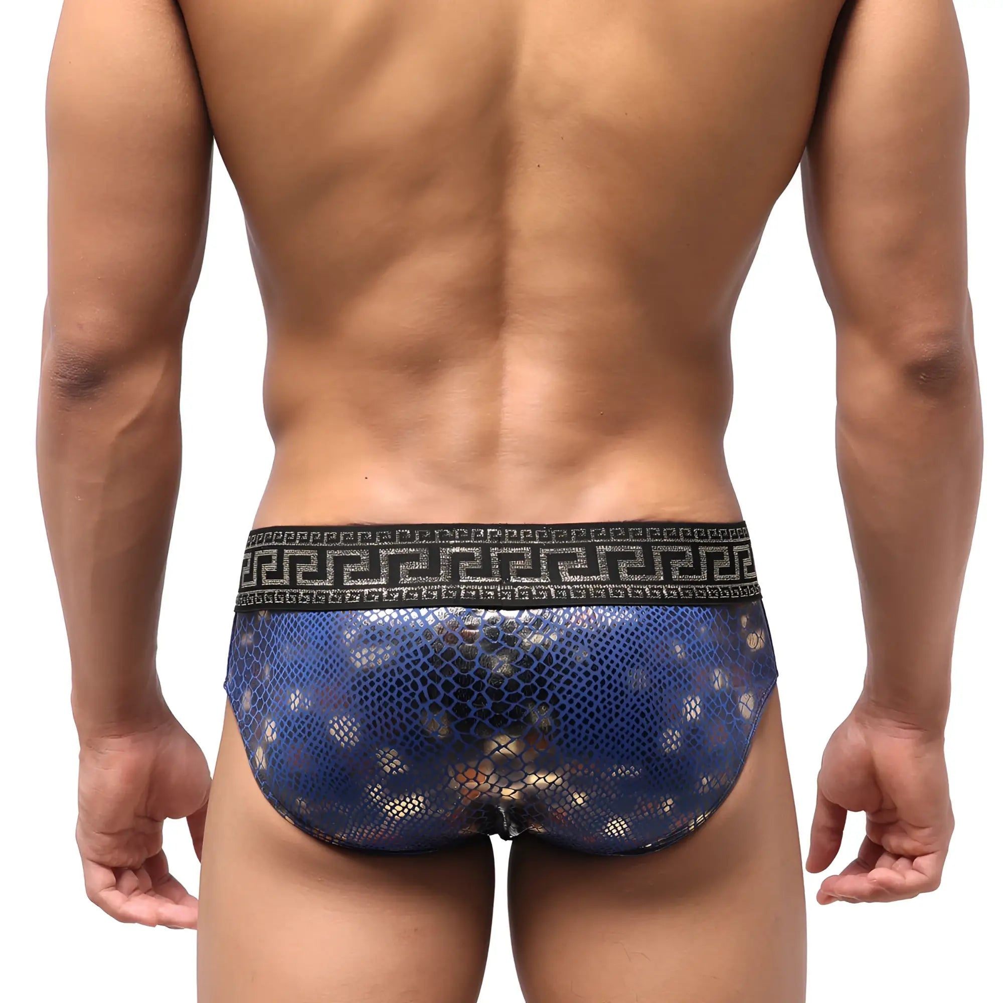 MetroMaleWear special edition Aladdin swim brief in blue snakeskin pattern with black Greek key waistband
