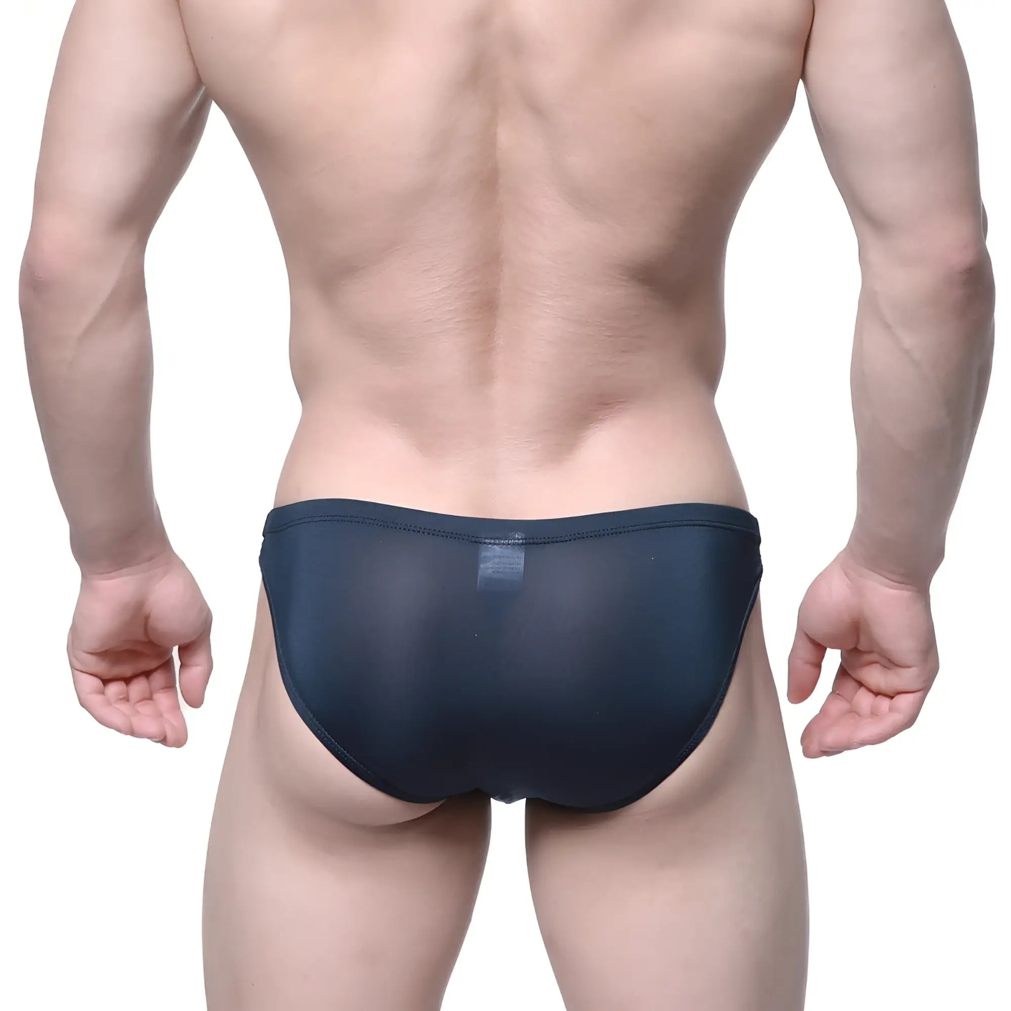 MetroMaleWear Veus bikini 3603-19 dark navy sheer mesh briefs showing the back side with lightweight fabric