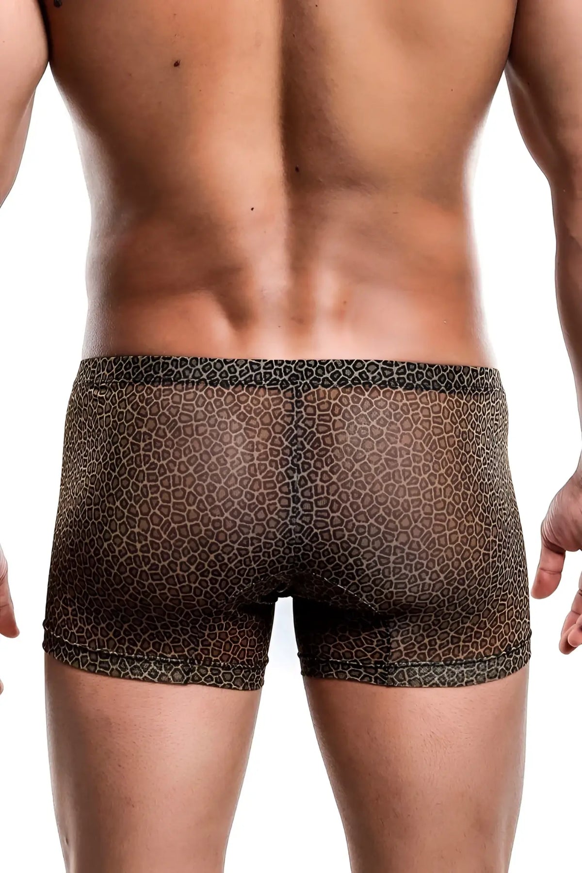Mob menâ€™s boxer tull pouch print brown leopard-print mesh briefs showcasing lightweight breathable fabric