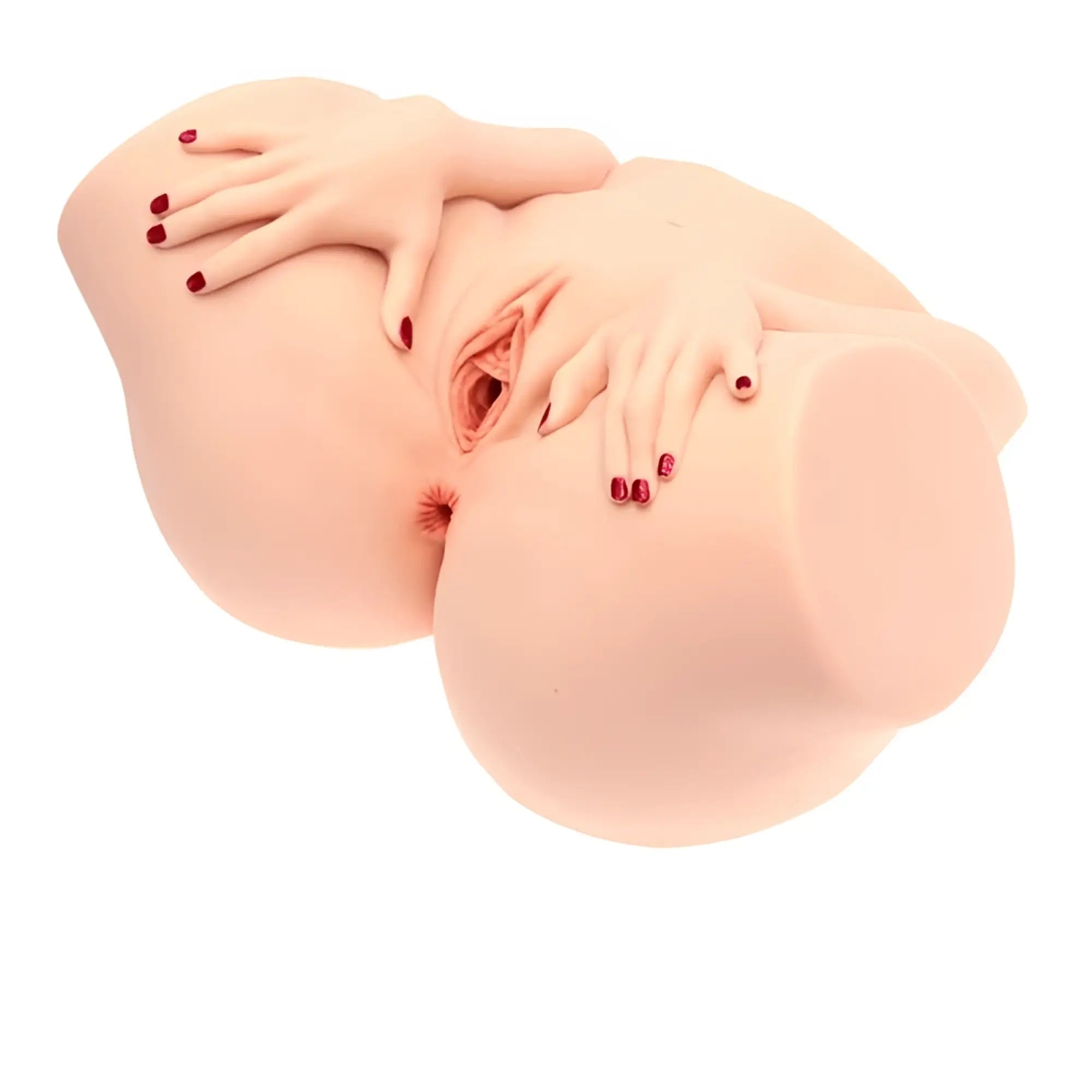 A realistic silicone female reproductive system model with detailed skin texture and red fingernails from naked factory spread me pussy and anal masturbator torso barbie