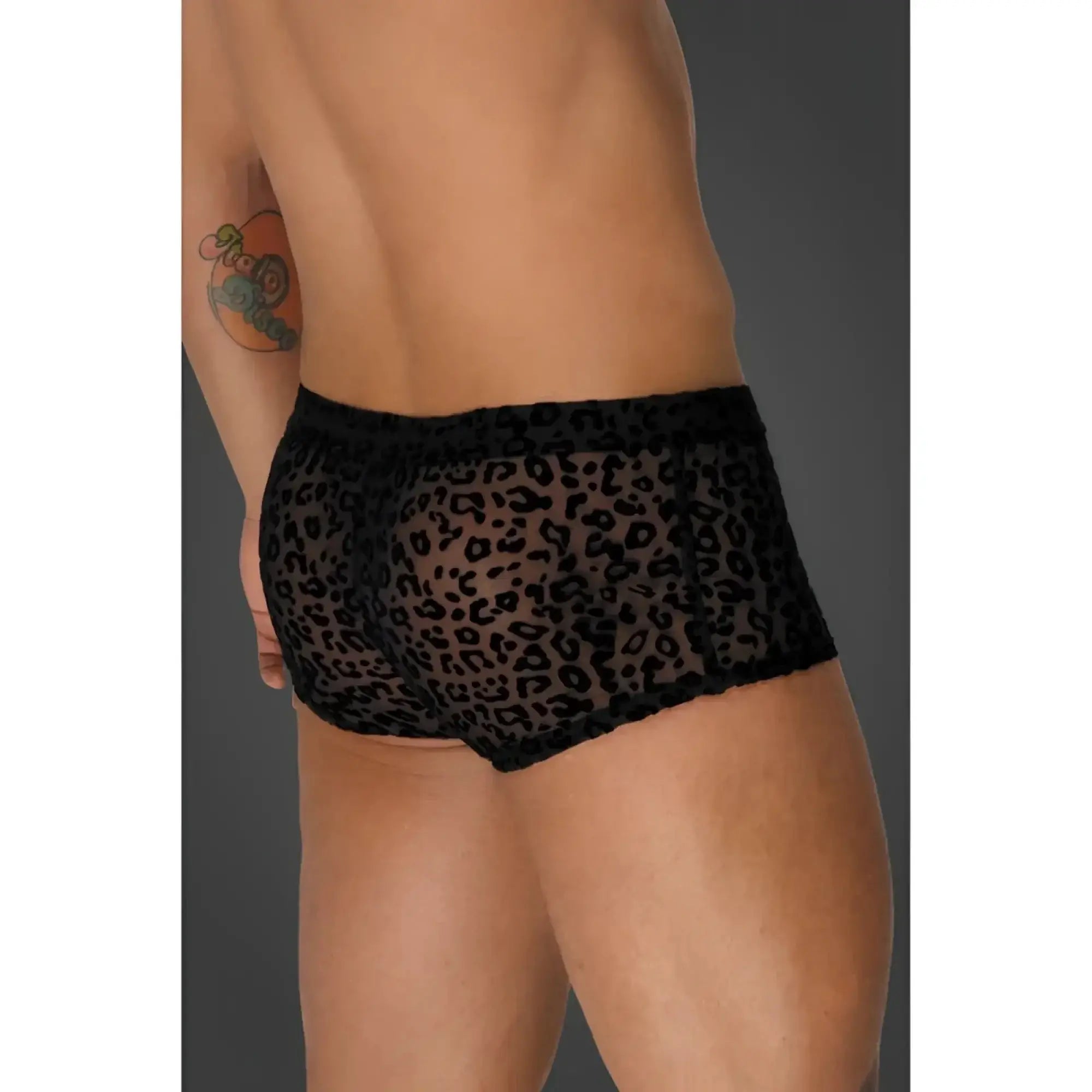 Noir leopard flock short shorts l black leopard-print mesh briefs with sheer fabric and elastic waistband