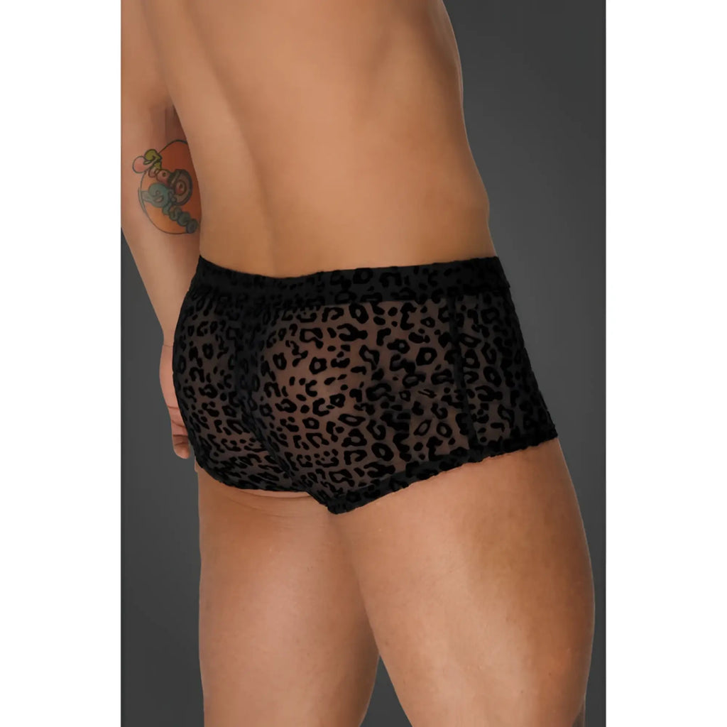 Black leopard-print mesh briefs with sheer semi-transparent fabric and elastic waistband noir leopard flock short shorts s