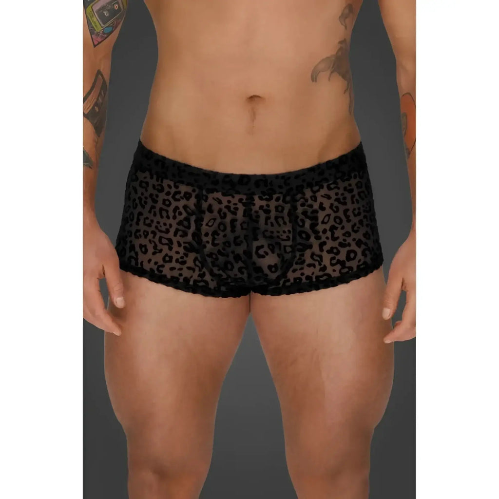 Noir leopard flock short shorts xl black leopard-print mesh briefs with sheer fabric and scalloped edge trim