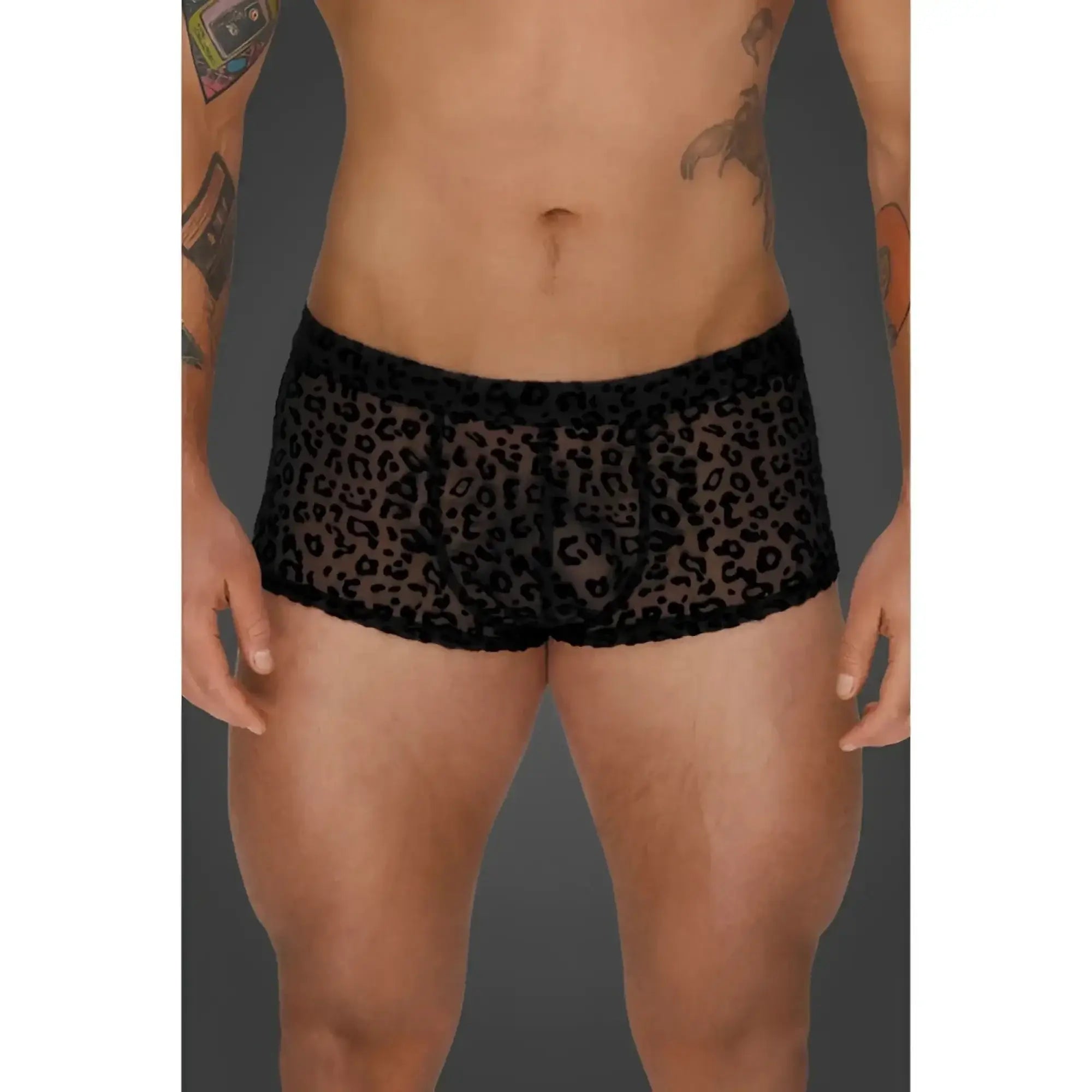 Noir leopard flock short shorts xl black leopard-print mesh briefs with sheer fabric and scalloped edge trim