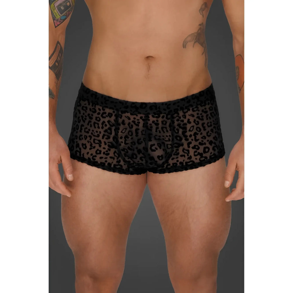 Noir leopard flock short shorts xl black leopard-print mesh briefs with sheer fabric and scalloped edge trim