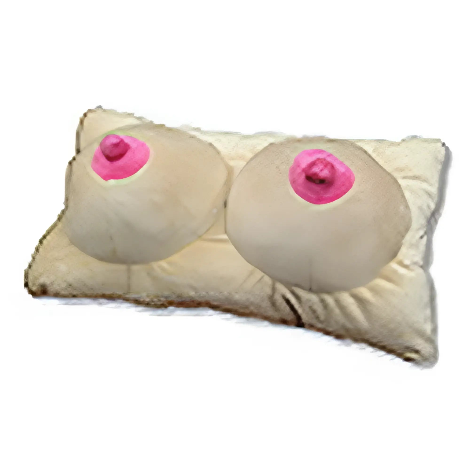 Beige plush novelty boobs pillow designed to resemble breasts with pink embroidered nipples for humorous decor