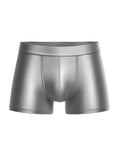Shiny metallic silver nylon luxury trunk briefs with sleek form-fitting design and subtle stitching details