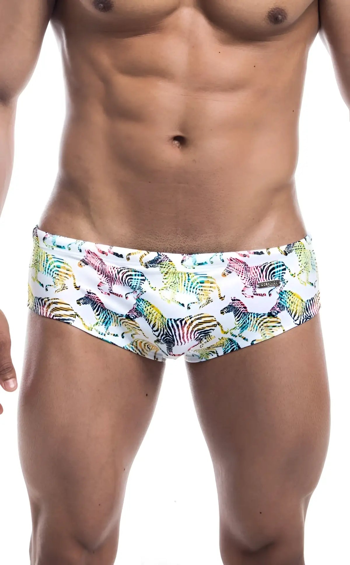 Oceanico swim brief vibrant rainbow-colored zebra pattern on white base designed for swimwear use