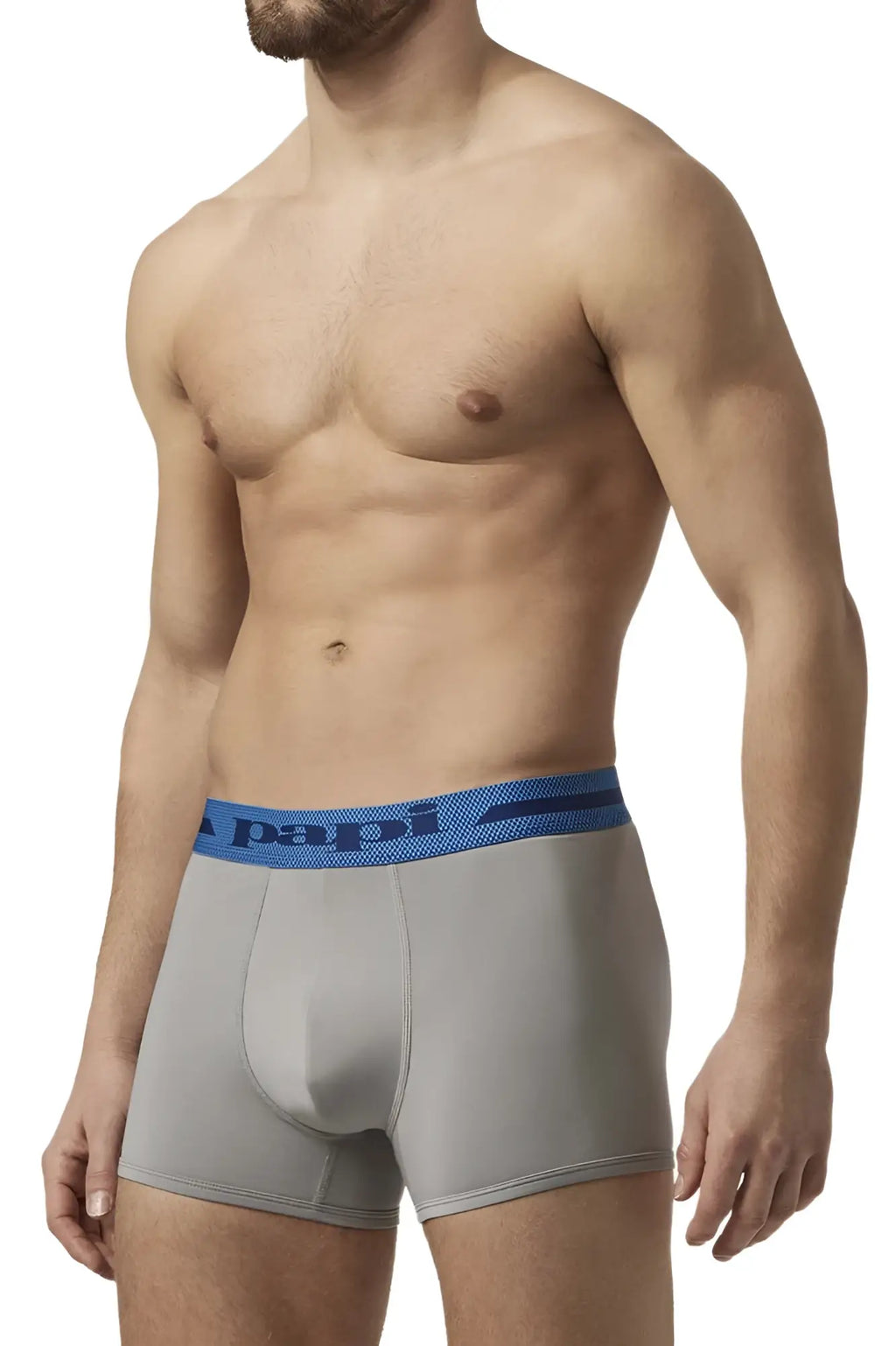 Gray papi microflex boxer briefs in alloy black with blue elastic waistband featuring papi logo front view