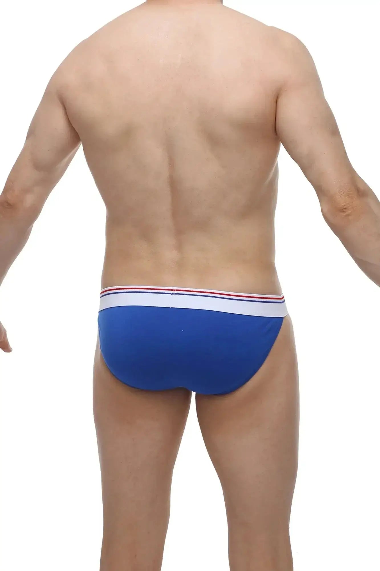 Blue petitq bikini aizy modal men’s briefs with white waistband featuring thin red and blue stripes