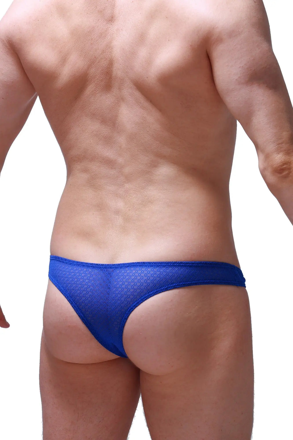 Petitq bikini capri macra blue blue mesh briefs with breathable fabric for comfortable everyday wear