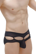 Black sheer mesh petitq bikini carlat net briefs with central pouch and cut-out design