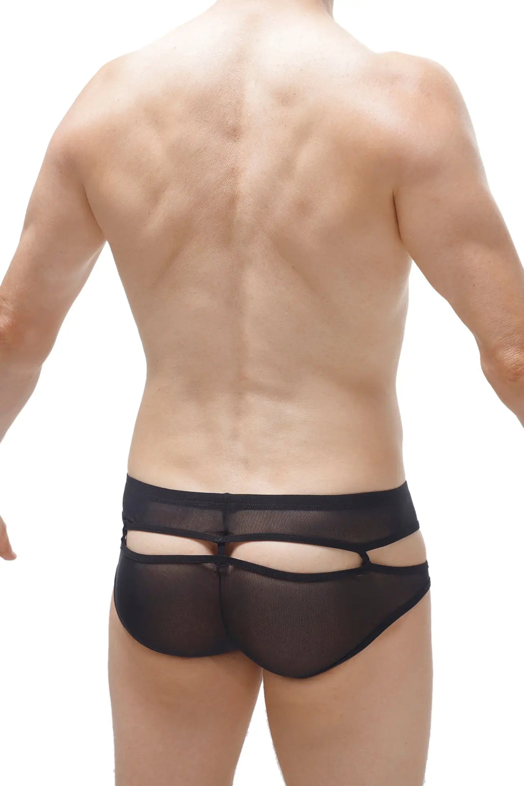 Black sheer mesh briefs with cutout design from PetitQ bikini Carlat net collection showing front view