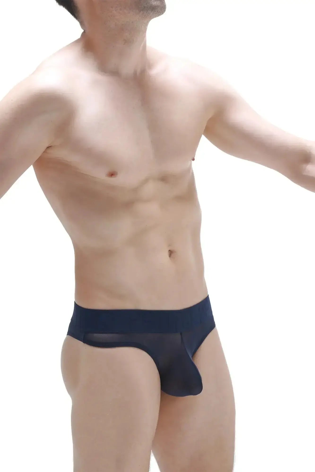Navy blue petiteq bikini Chisa net briefs with sheer mesh fabric and solid waistband front view