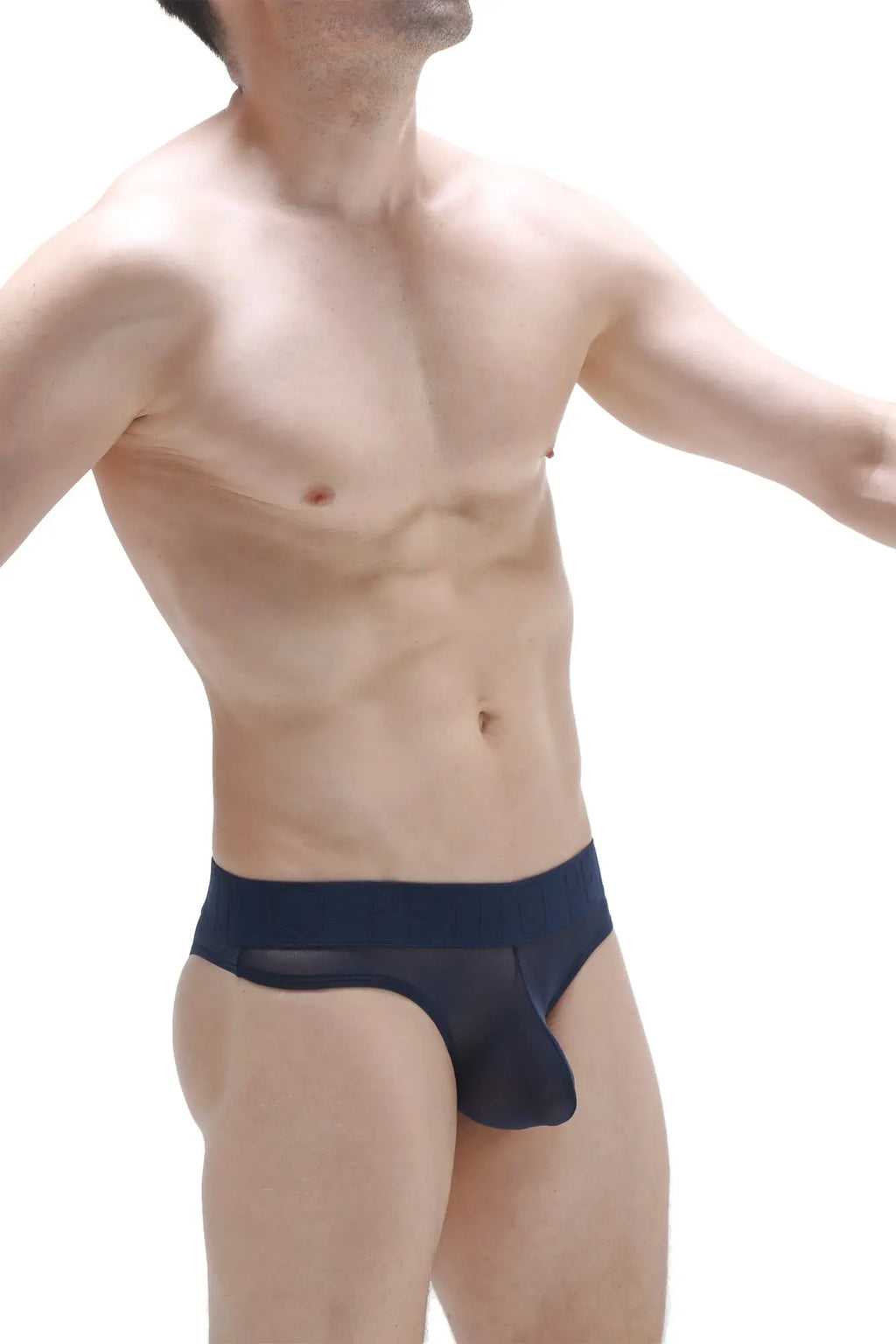 Navy blue petiteq bikini Chisa net briefs with sheer mesh fabric and solid waistband front view