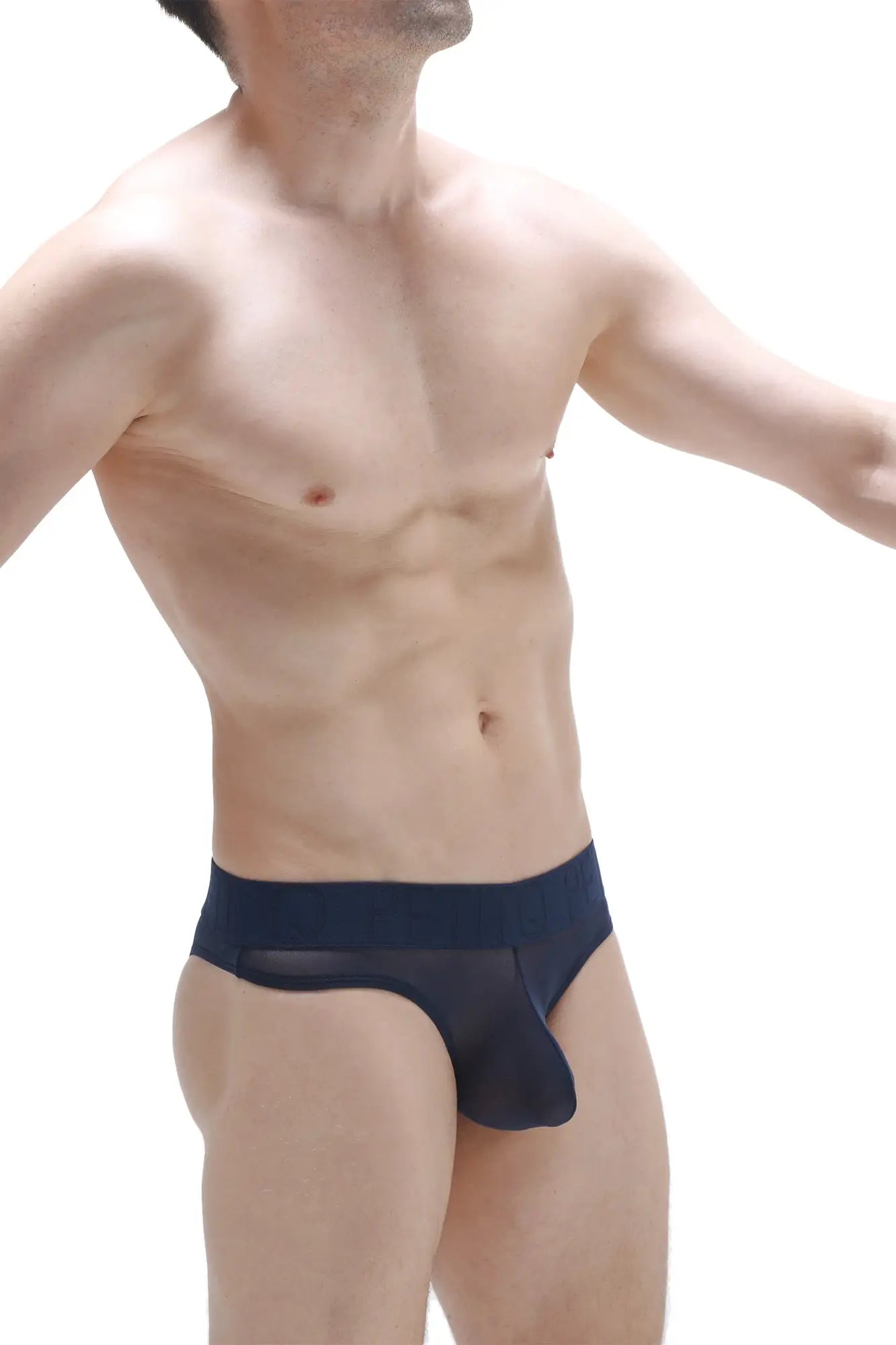 Navy blue petiteq bikini Chisa net briefs with sheer mesh fabric and solid waistband front view