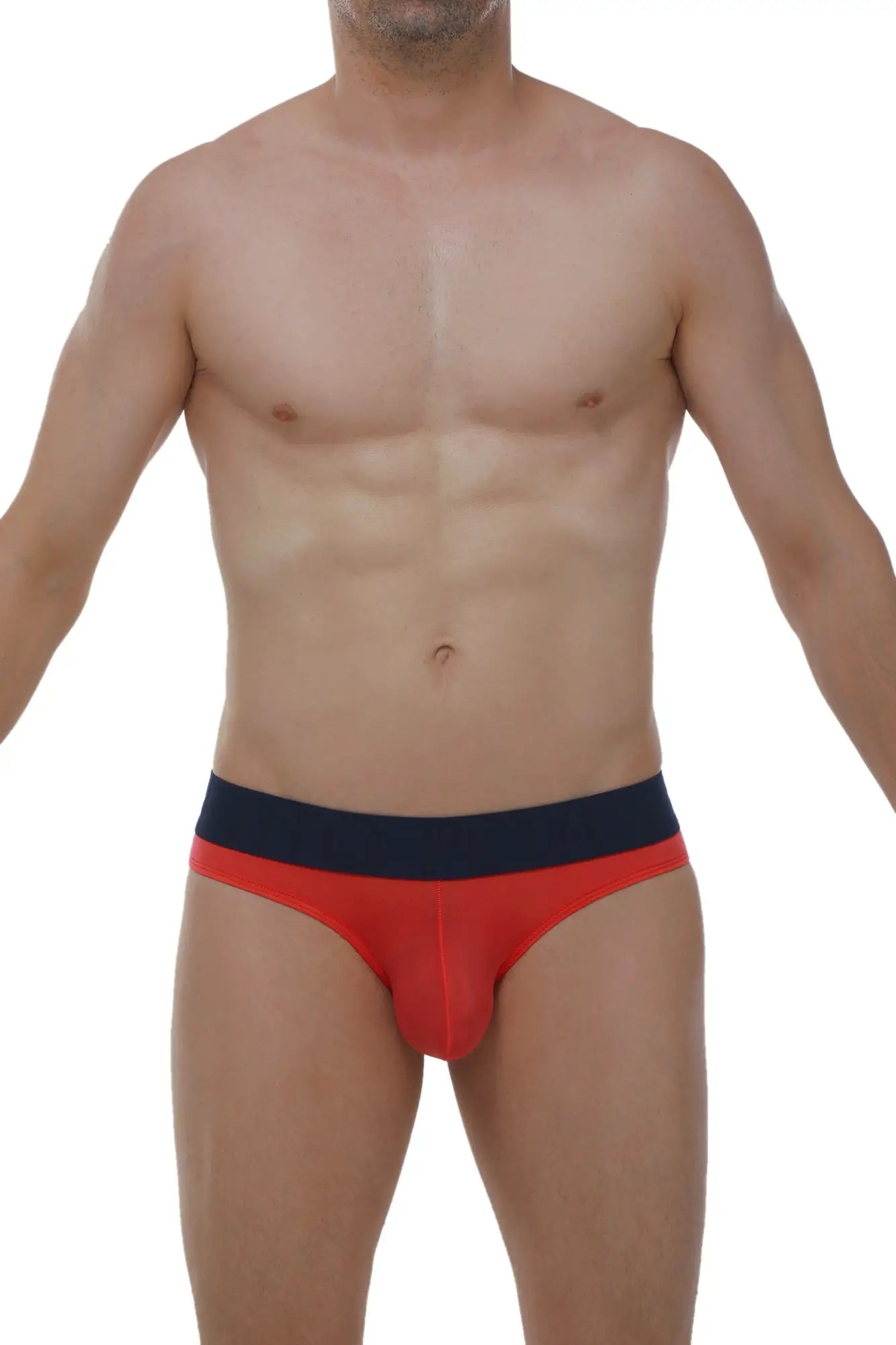 Petitq bikini chisa plum crimson snug red and navy blue briefs with a form-fitting design for comfortable wear
