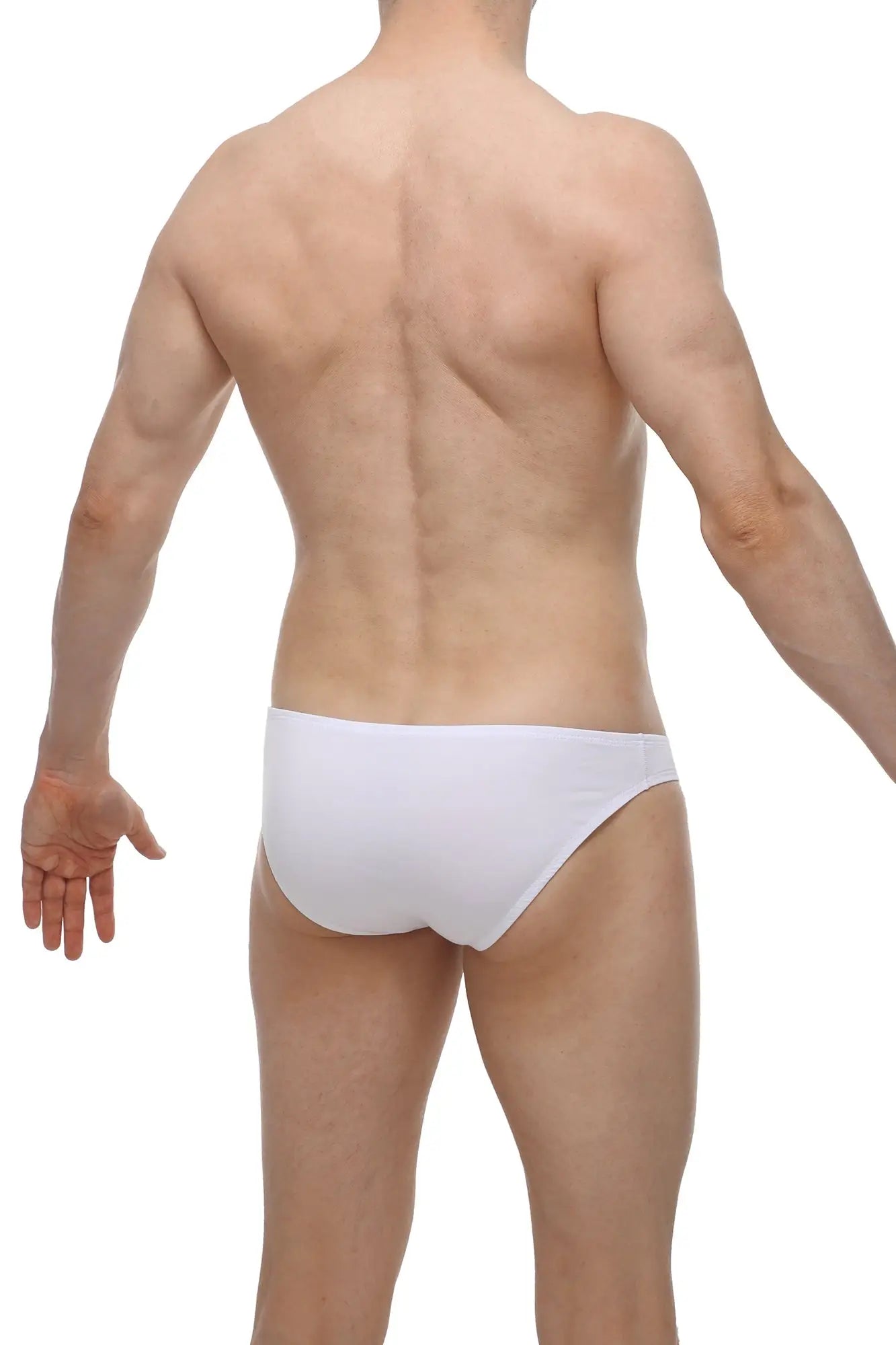 White petitq bikini briefs in smooth form-fitting modal fabric for comfortable everyday wear
