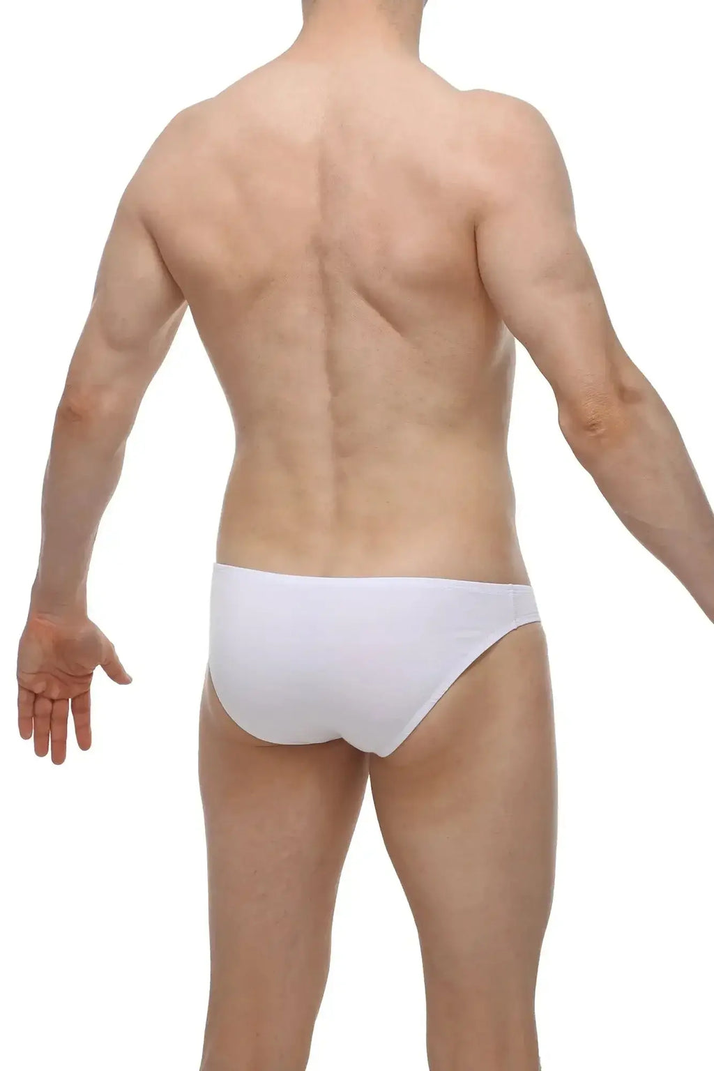 White petitq bikini briefs in smooth form-fitting modal fabric for comfortable everyday wear