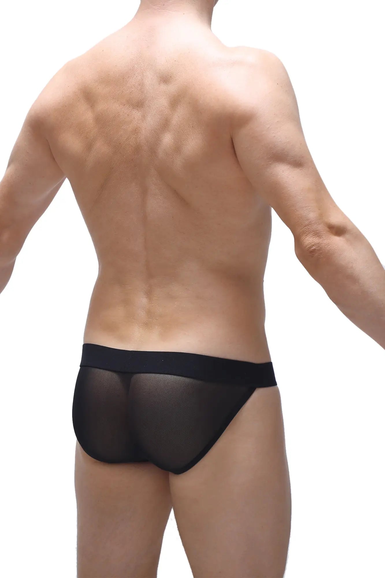 Black sheer mesh PetitQ bikini briefs with solid black waistband showing front side