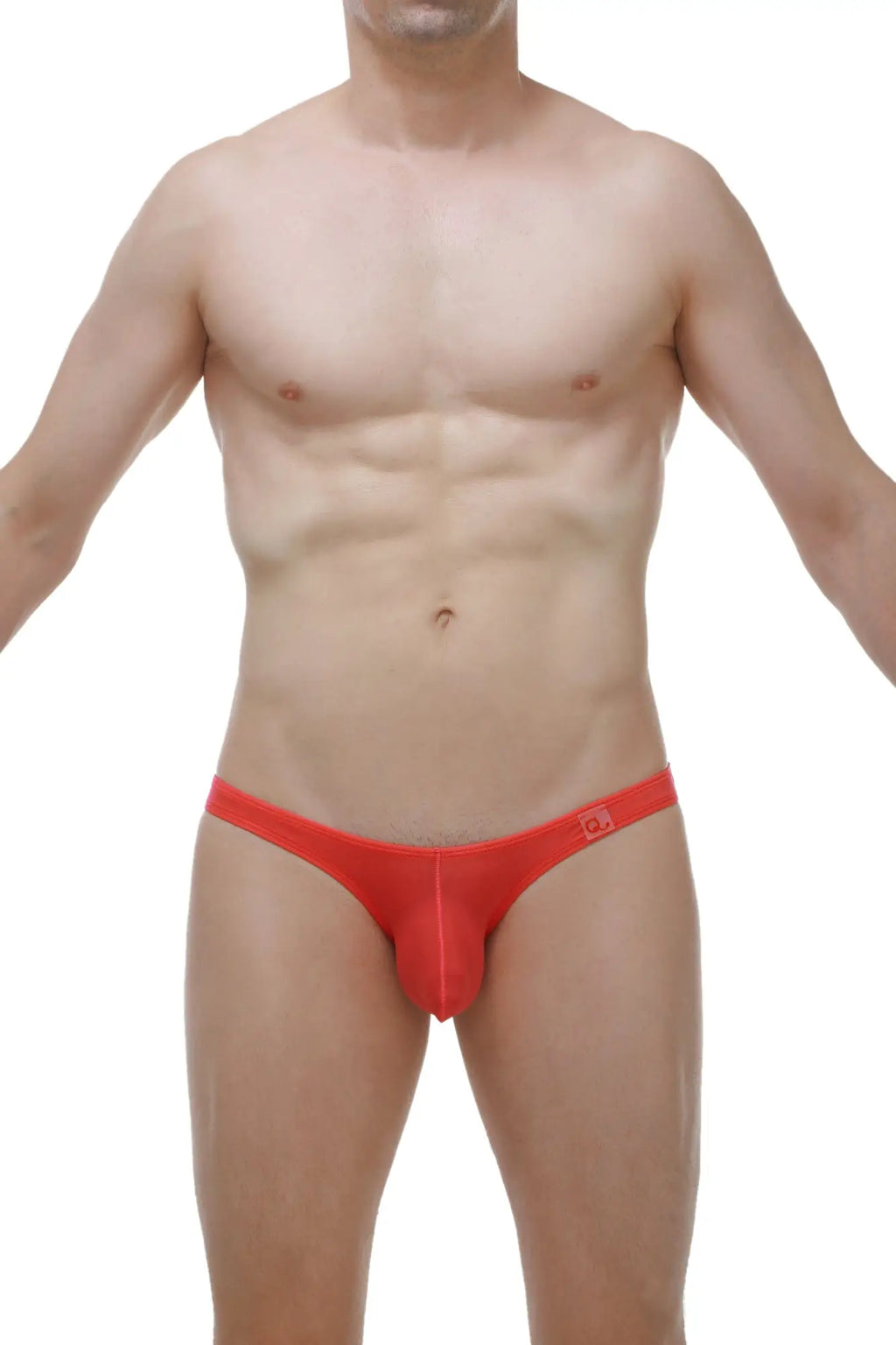 Petitq bikini dome plum crimson red form-fitting men’s briefs with smooth stretchy fabric and logo waistband