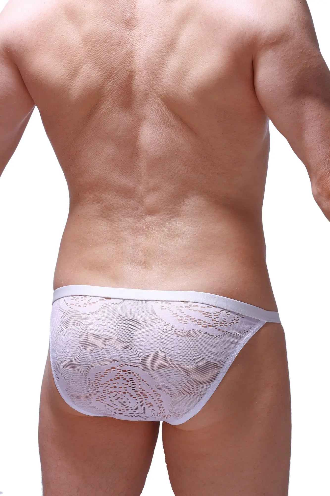 Petitq bikini ladon coudray white white lace briefs with delicate pattern and smooth elastic waistband