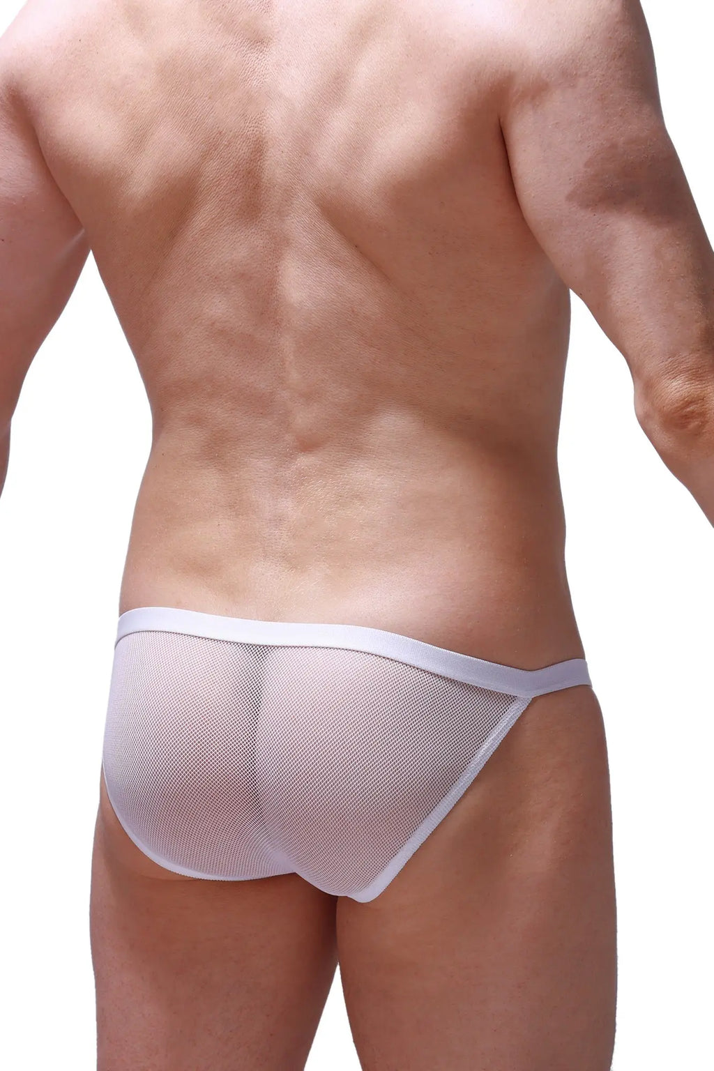 White mesh briefs with solid white waistband from petitq bikini ladon mesh white collection front view
