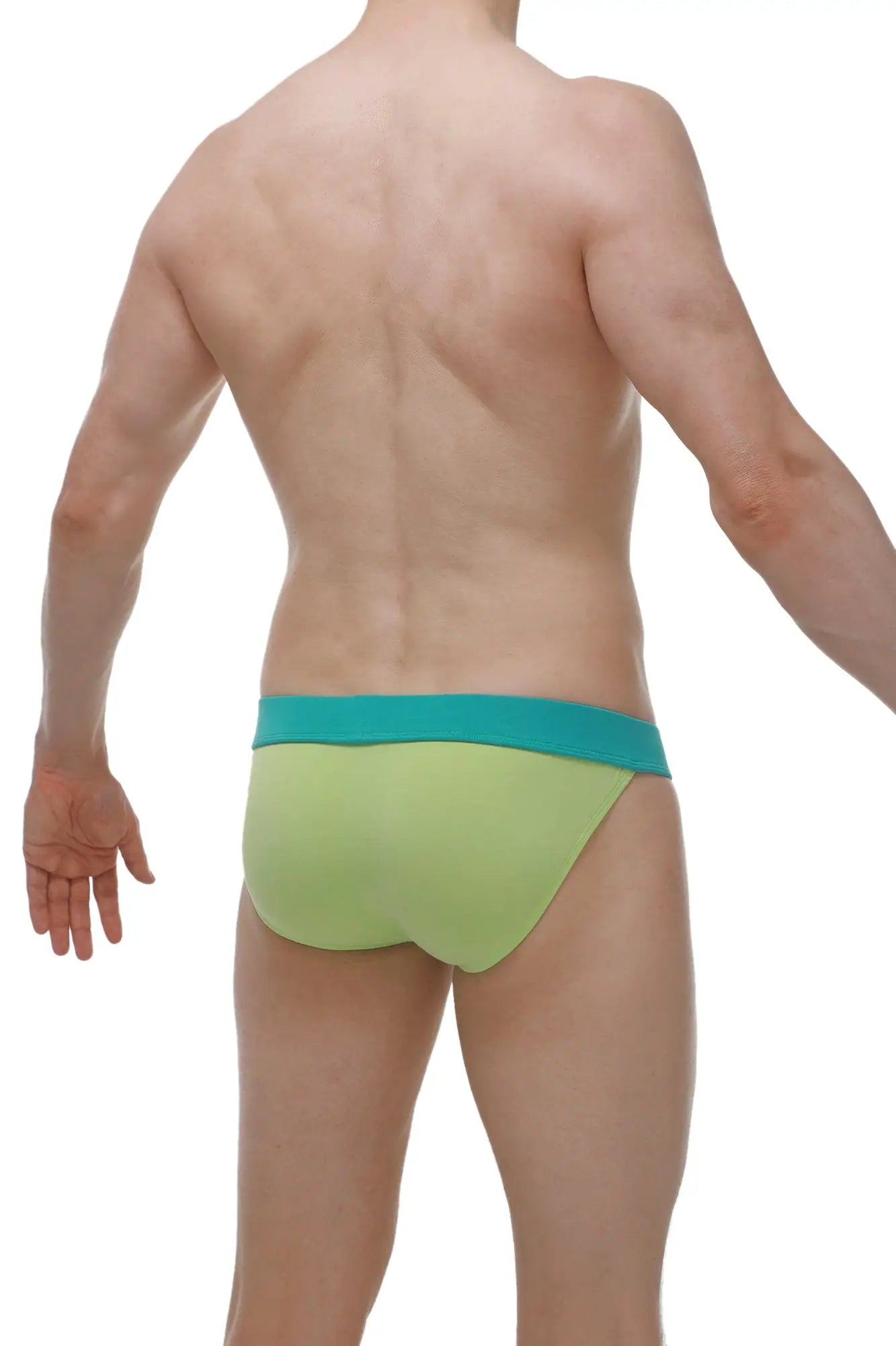 Light green PetitQ bikini Linthes bamboo briefs with contrasting teal waistband for comfortable wear