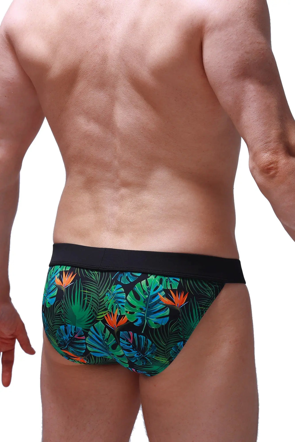 PetitQ bikini linthes tropical swim trunks with tropical leaf and bird-of-paradise print and black elastic waistband