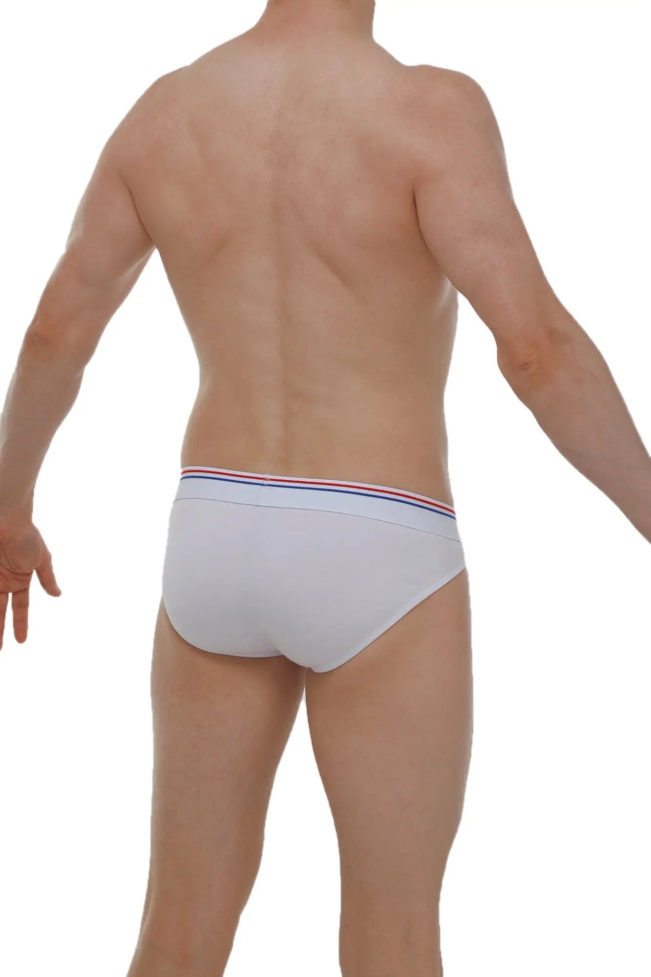 White briefs petitq bikini mega bulge modal with red white and blue striped waistband in modal fabric