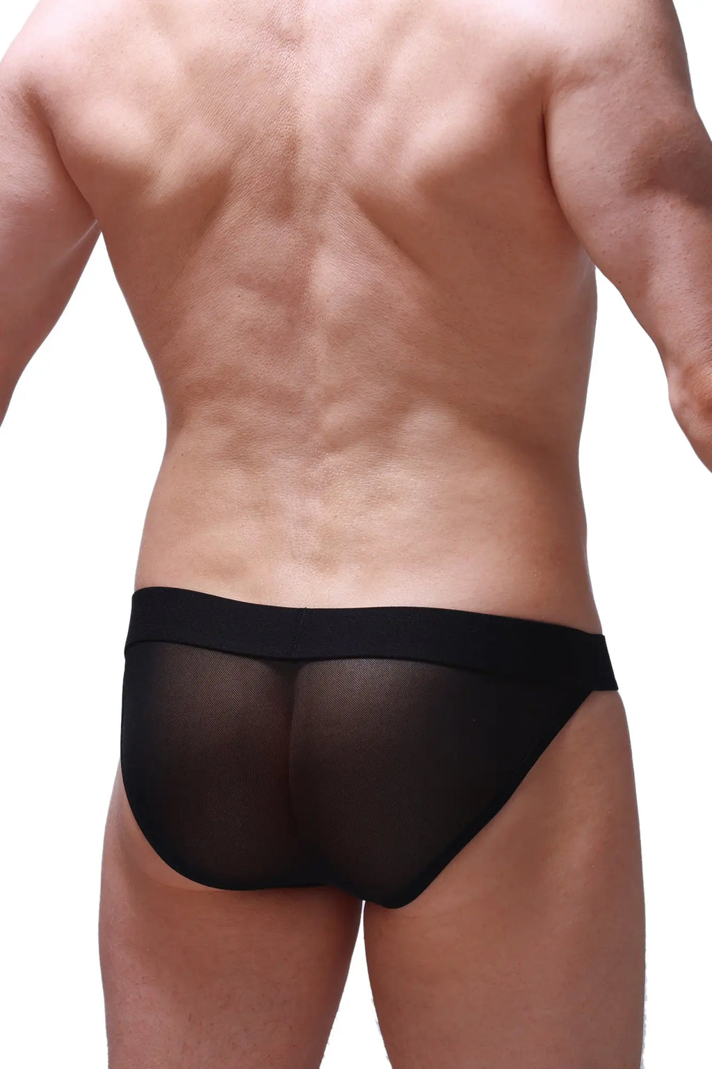 Black sheer mesh briefs petitq bikini menhir net black with solid black waistband in front view