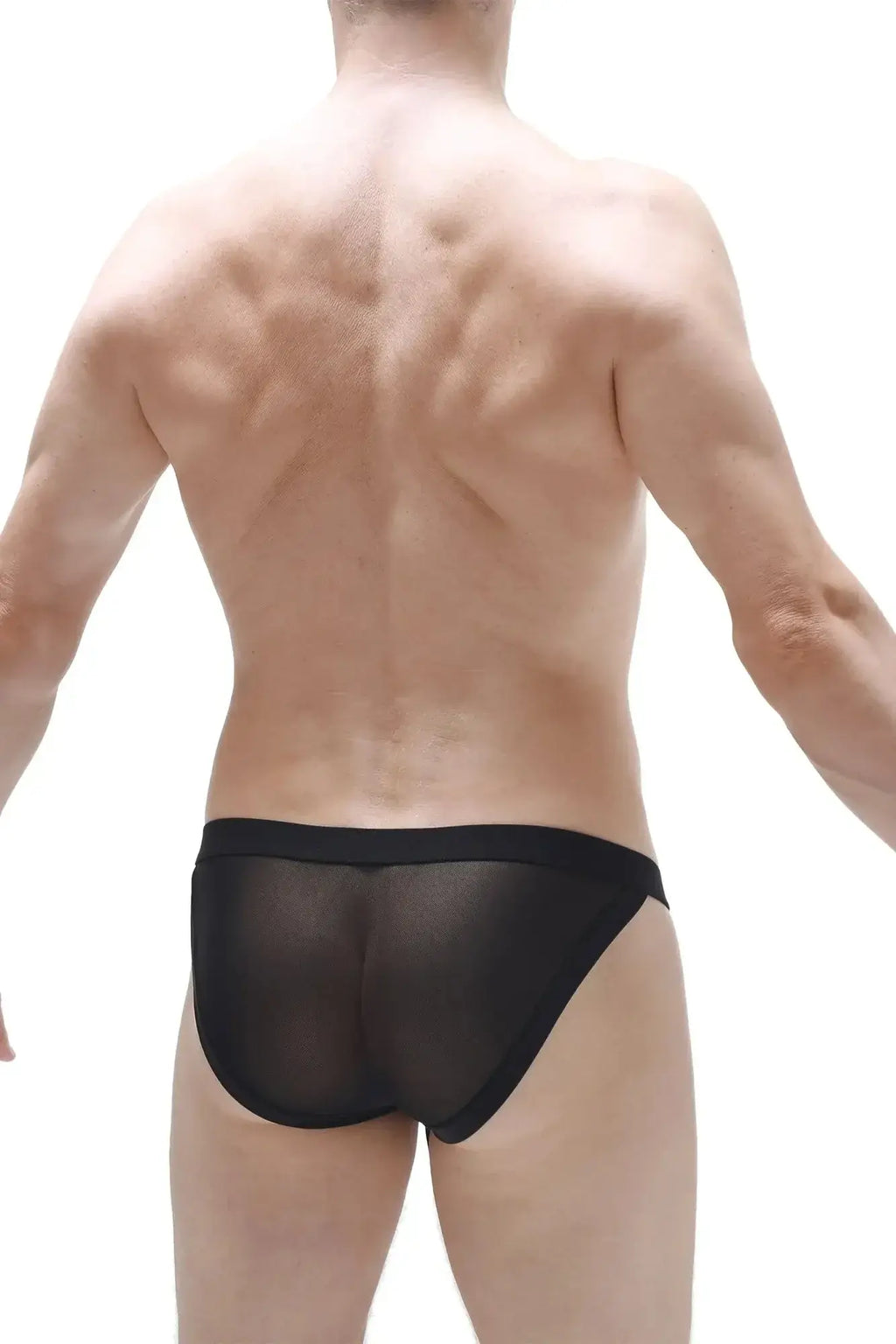 Black sheer mesh briefs with solid black waistband from petitq bikini merpins net black product line