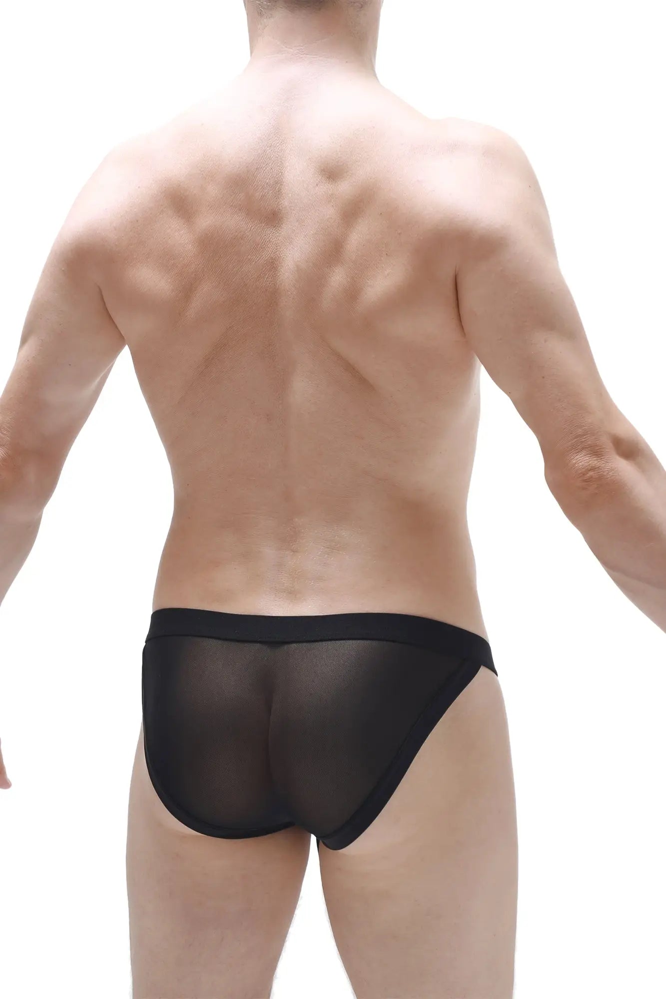 Black sheer mesh briefs with solid black waistband from petitq bikini merpins net black product line