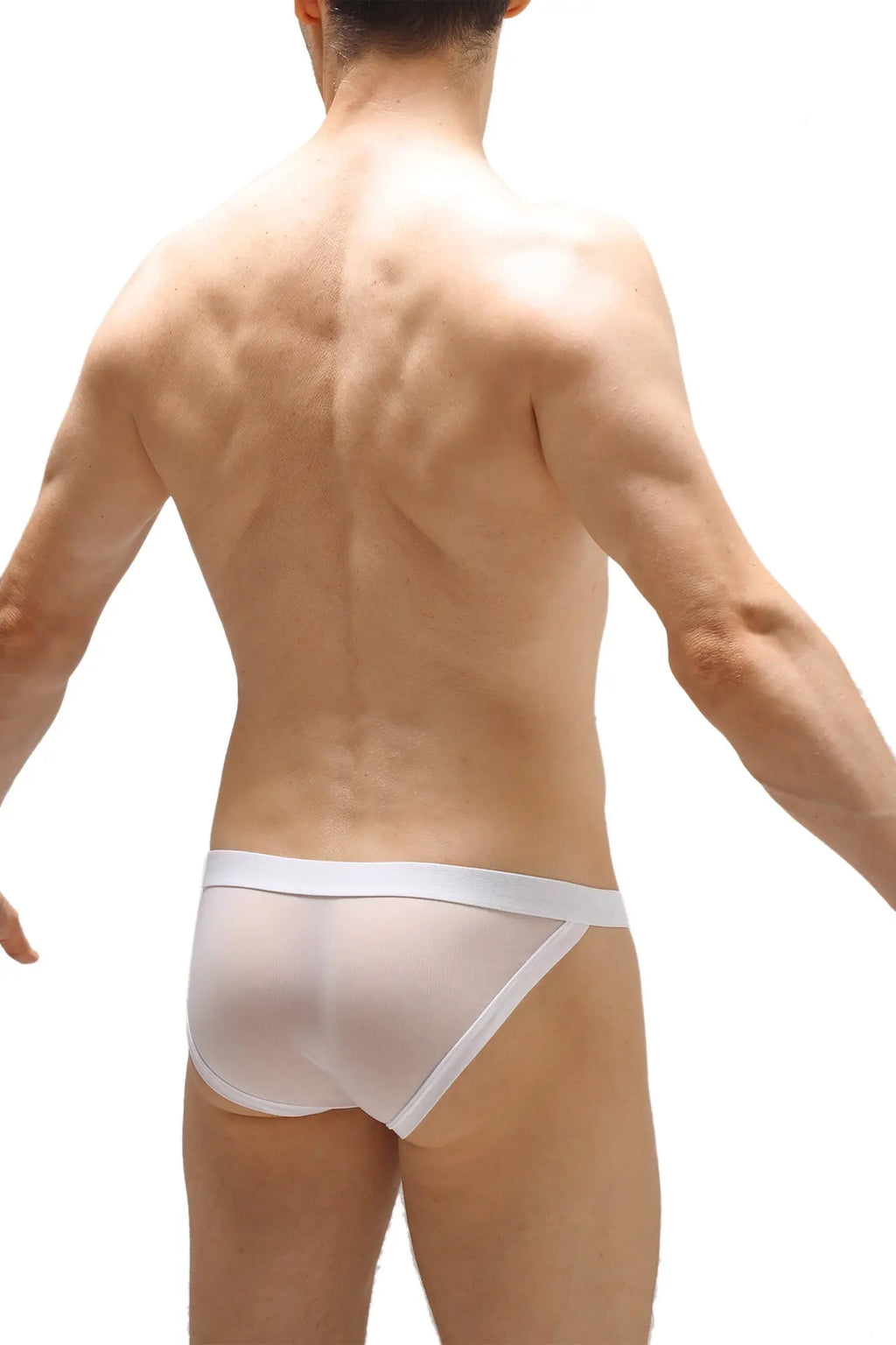 White sheer mesh briefs with solid white waistband from petitq bikini merpins white collection front view