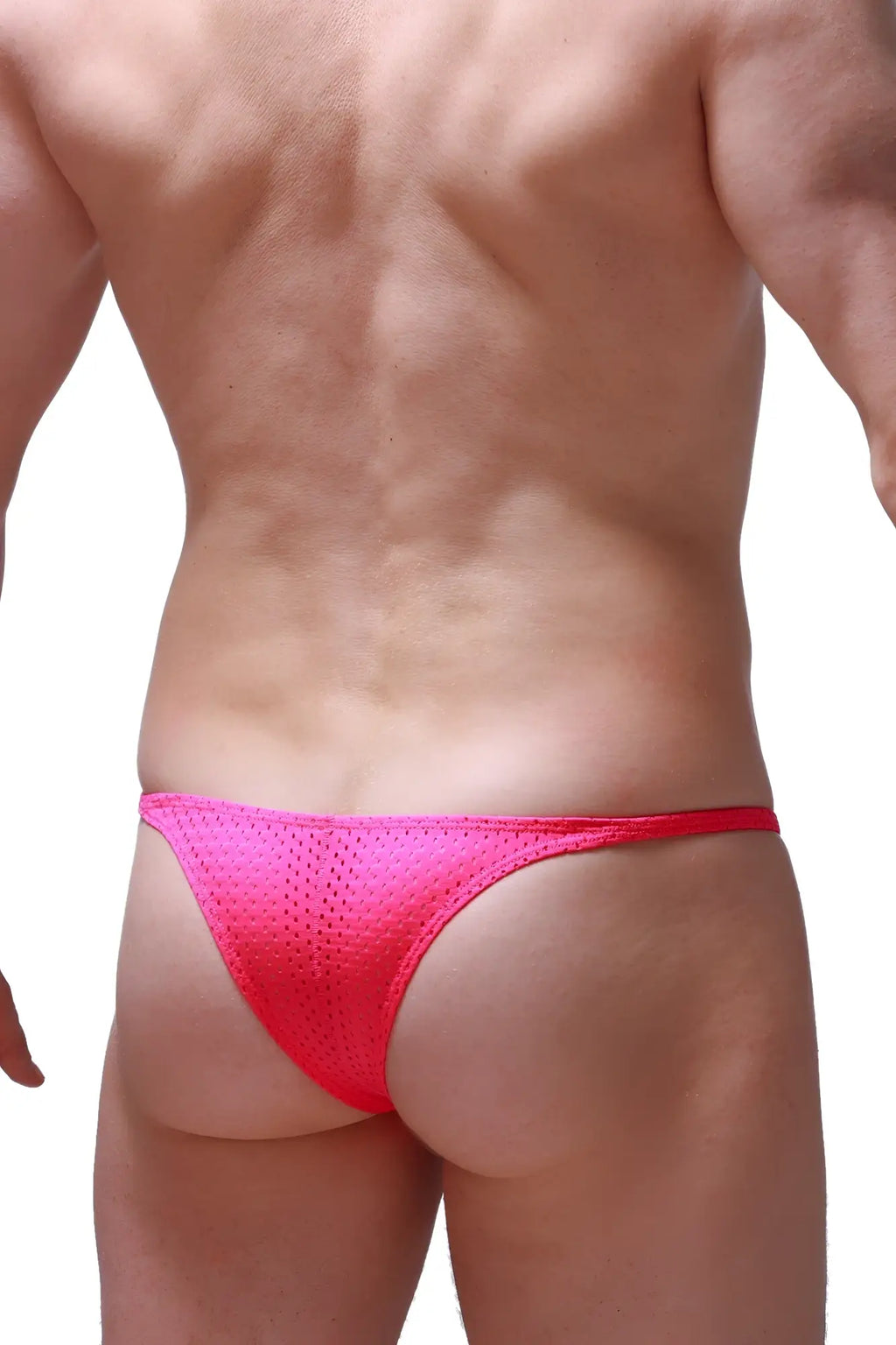 Bright pink mesh petitq bikini plellis bee briefs with a snug form fitting design