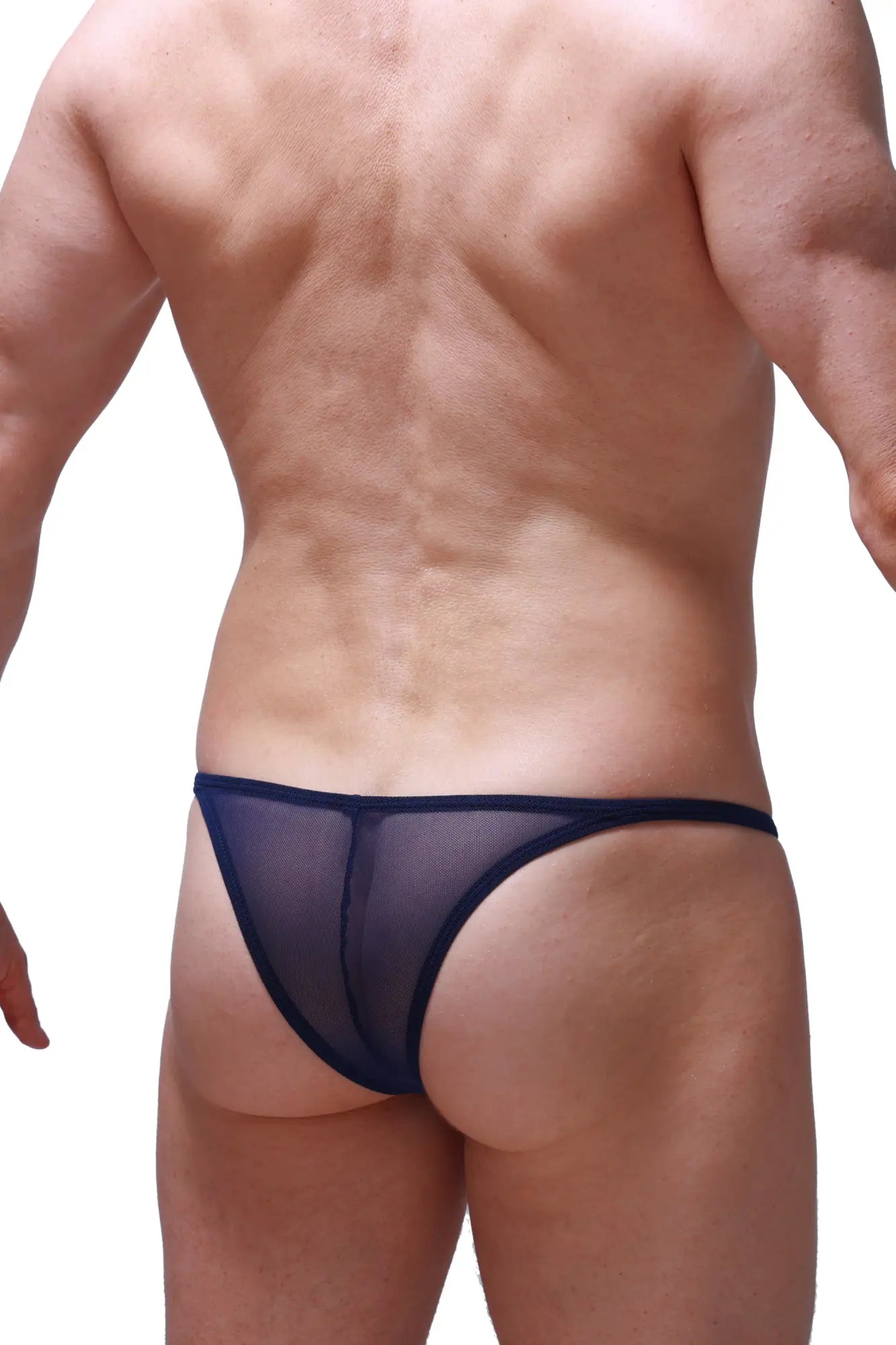Navy blue sheer mesh thong with solid dark trim by petitq bikini prellis net shown from the back