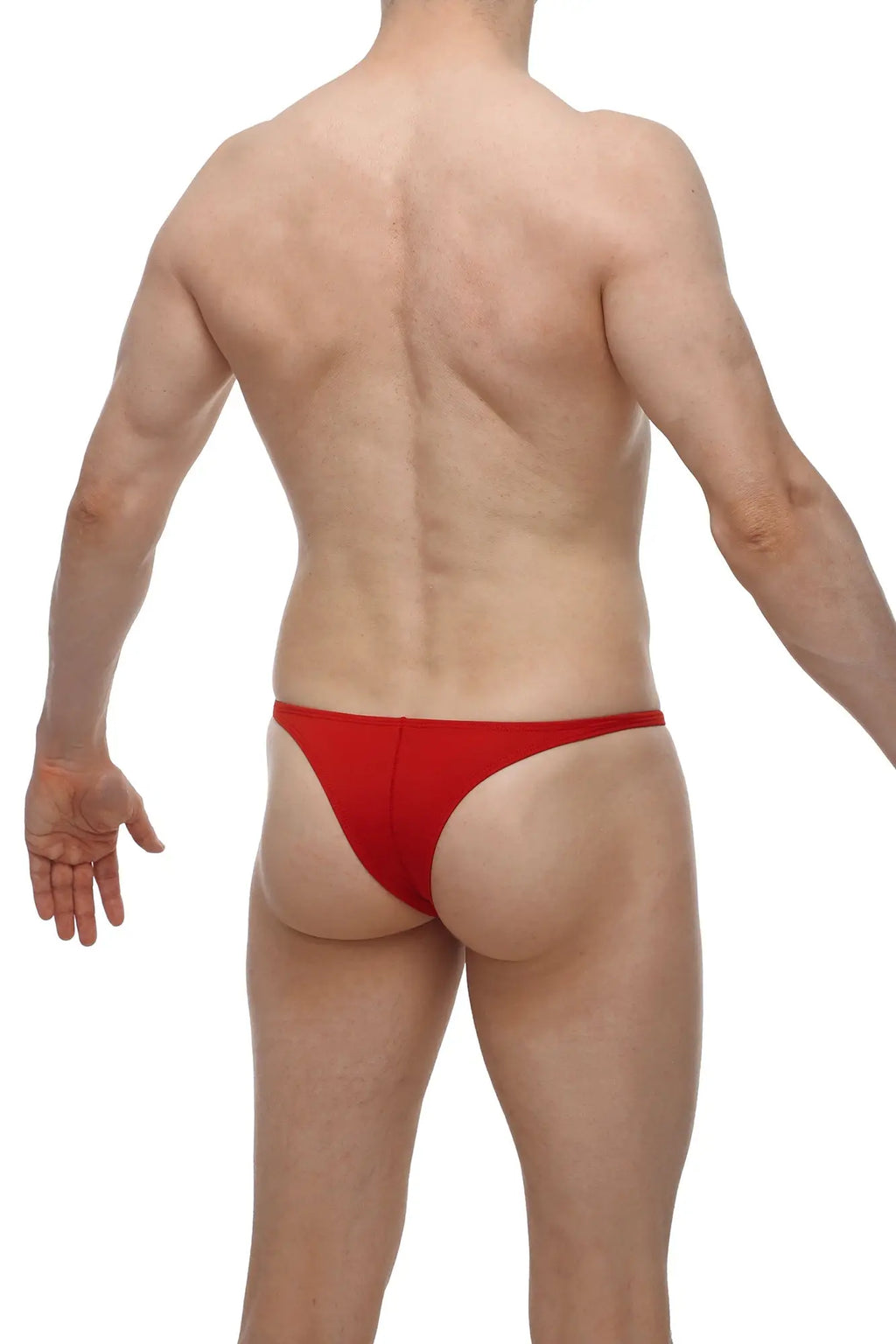 Red thong briefs petitq bikini plellis red in sheer mesh fabric showing the back side of the product