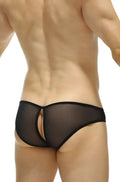Black sheer mesh briefs petitq bikini poncy net black with solid black elastic waistband and leg openings