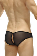 Black sheer mesh briefs petitq bikini poncy net black with solid black elastic waistband and leg openings
