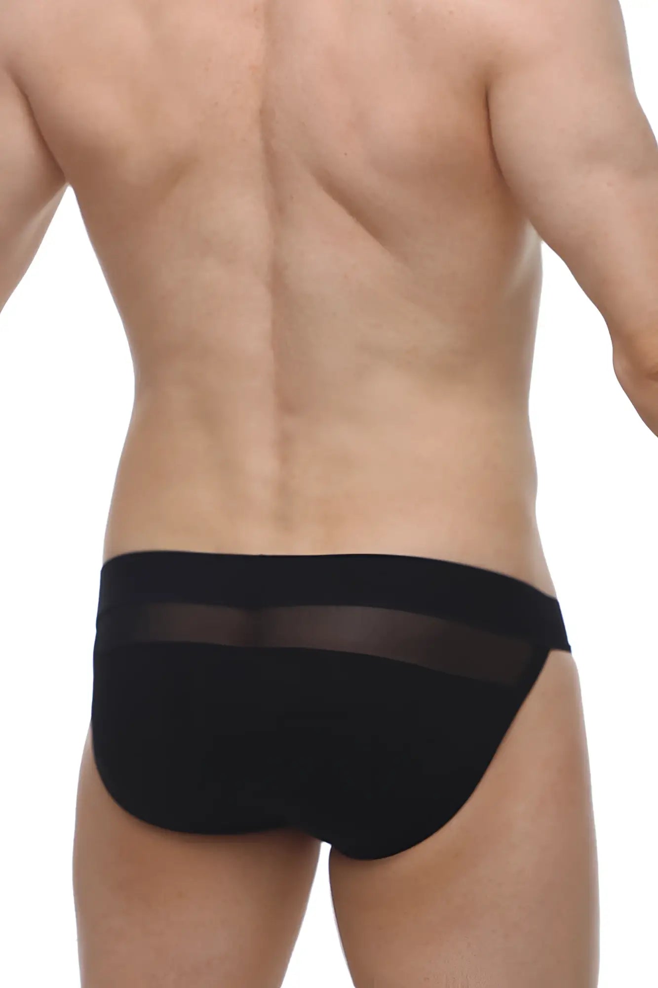 Black petitq bikini briefs with a sheer mesh panel across the waistband showing the front side