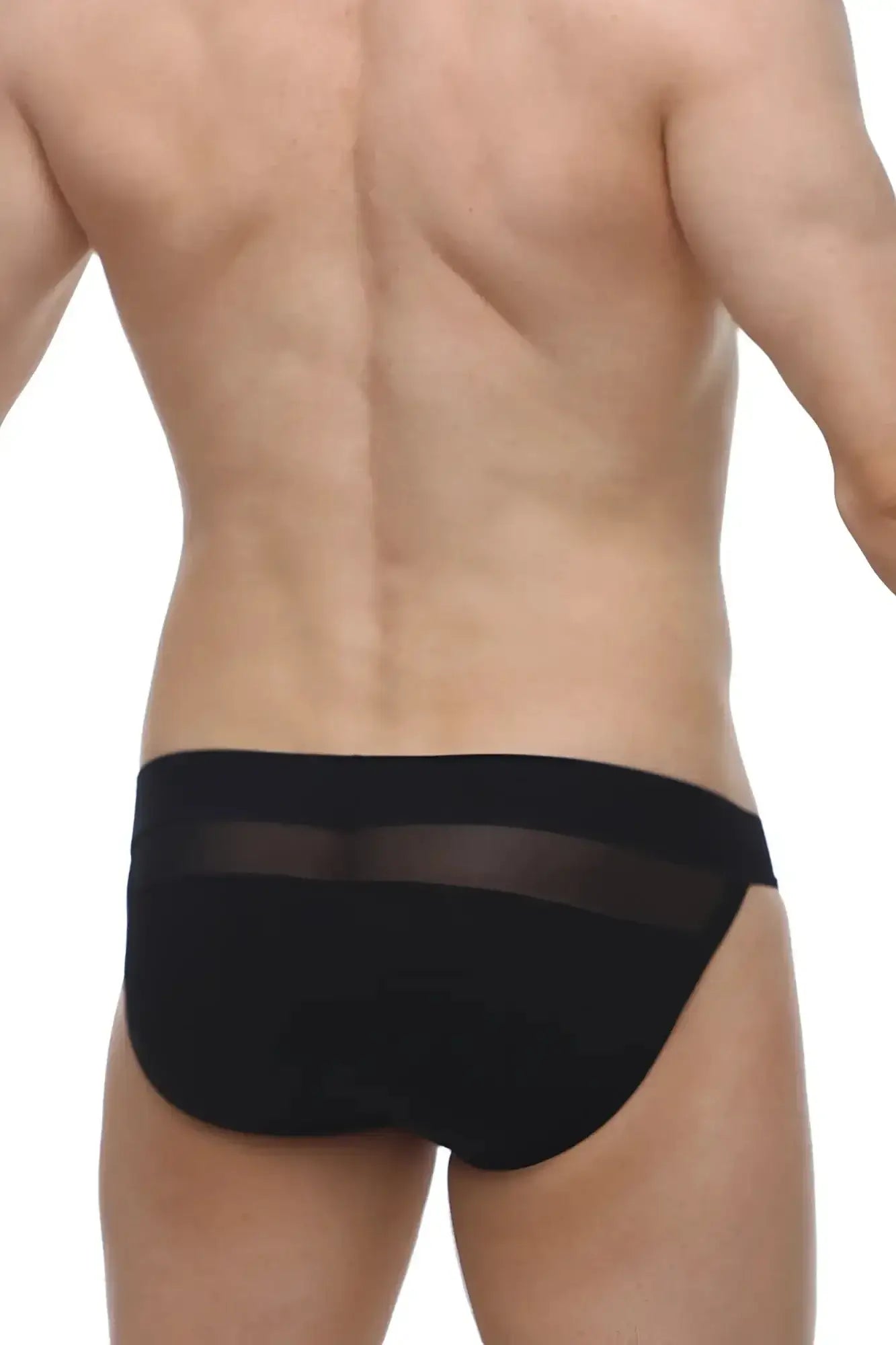 Black petitq bikini briefs with a sheer mesh panel across the waistband showing the front side
