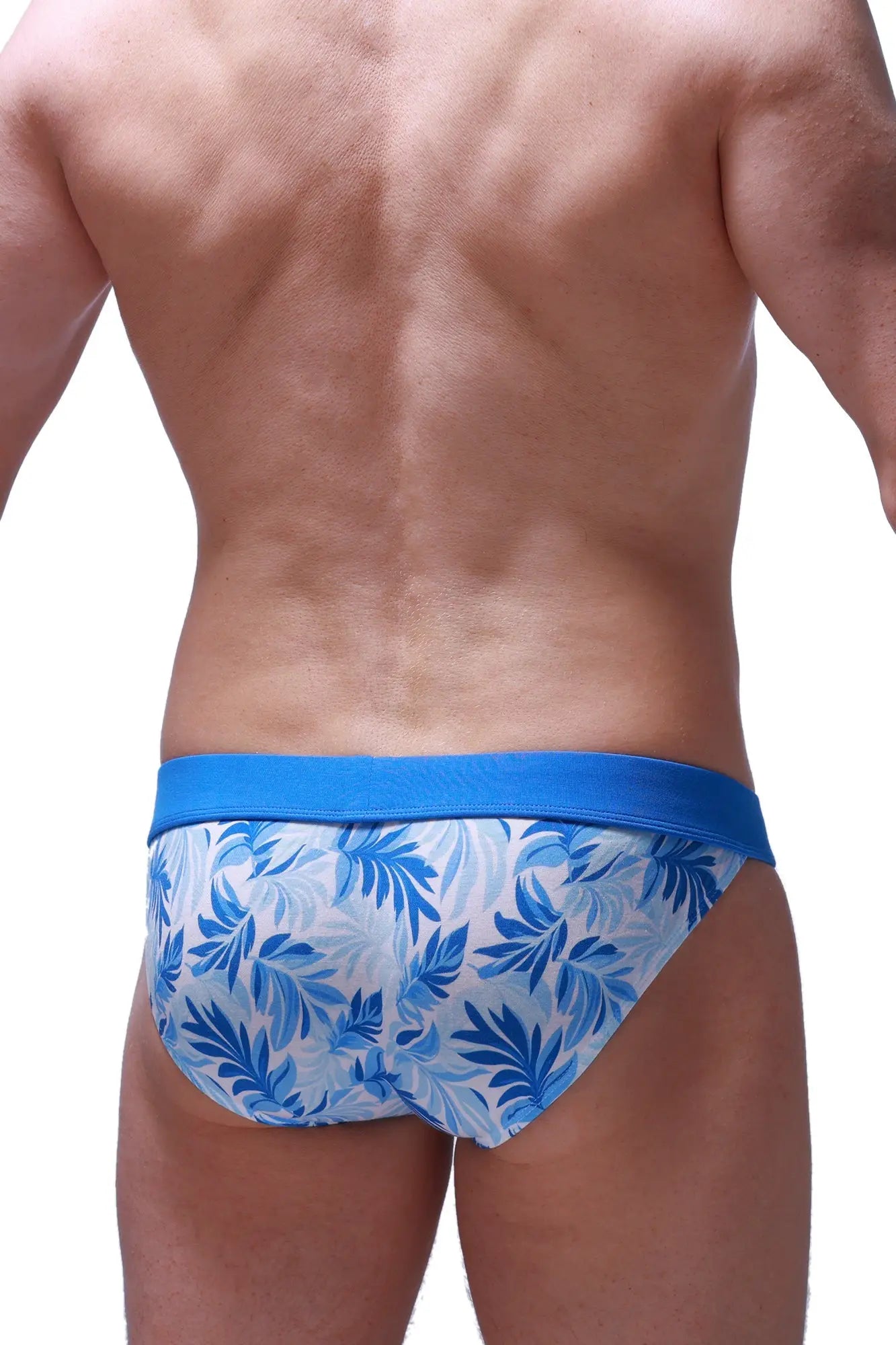PetitQ bikini sillas maeha blue tropical leaf-patterned swim trunks with solid blue waistband for casual beachwear