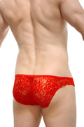 Petitq bikini tregunc lace red red lace briefs with intricate floral patterns made of delicate lace material