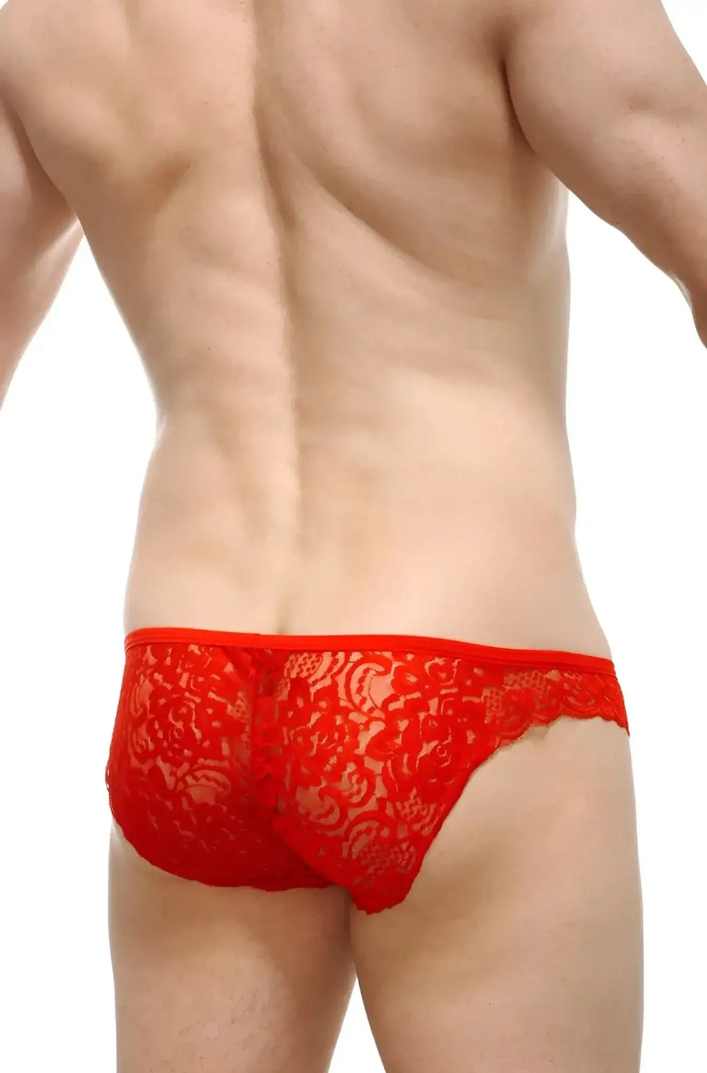 Petitq bikini tregunc lace red red lace briefs with intricate floral patterns made of delicate lace material
