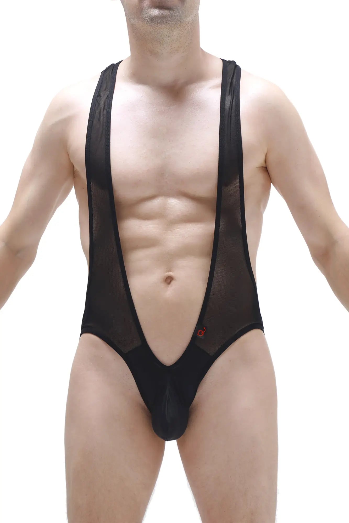PetitQ bodysuit antry net black is a black mesh bodysuit with deep v-neckline and solid black fabric legs